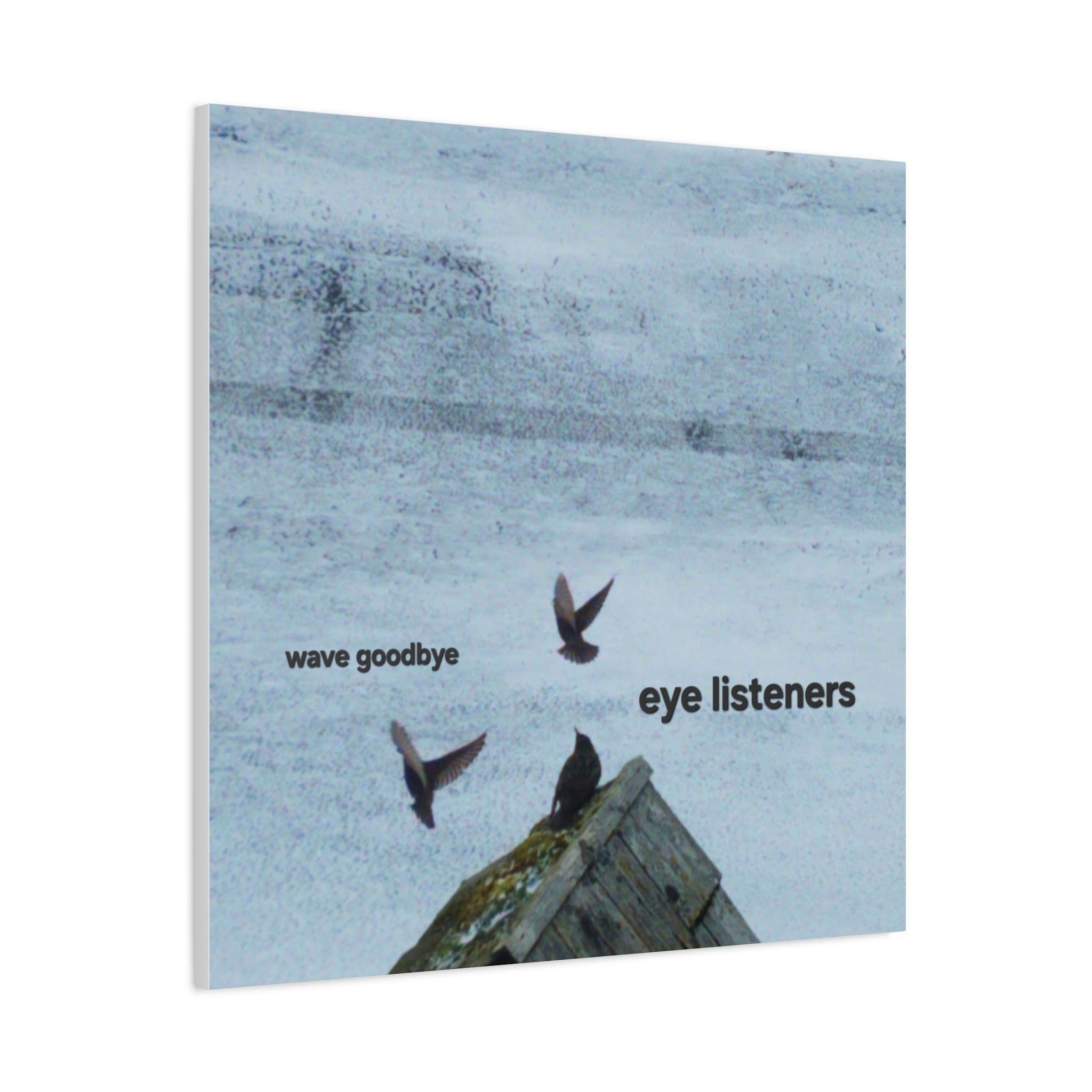 'Eye Listeners - Wave Goodbye' Matte Canvas, Stretched, 1.25"