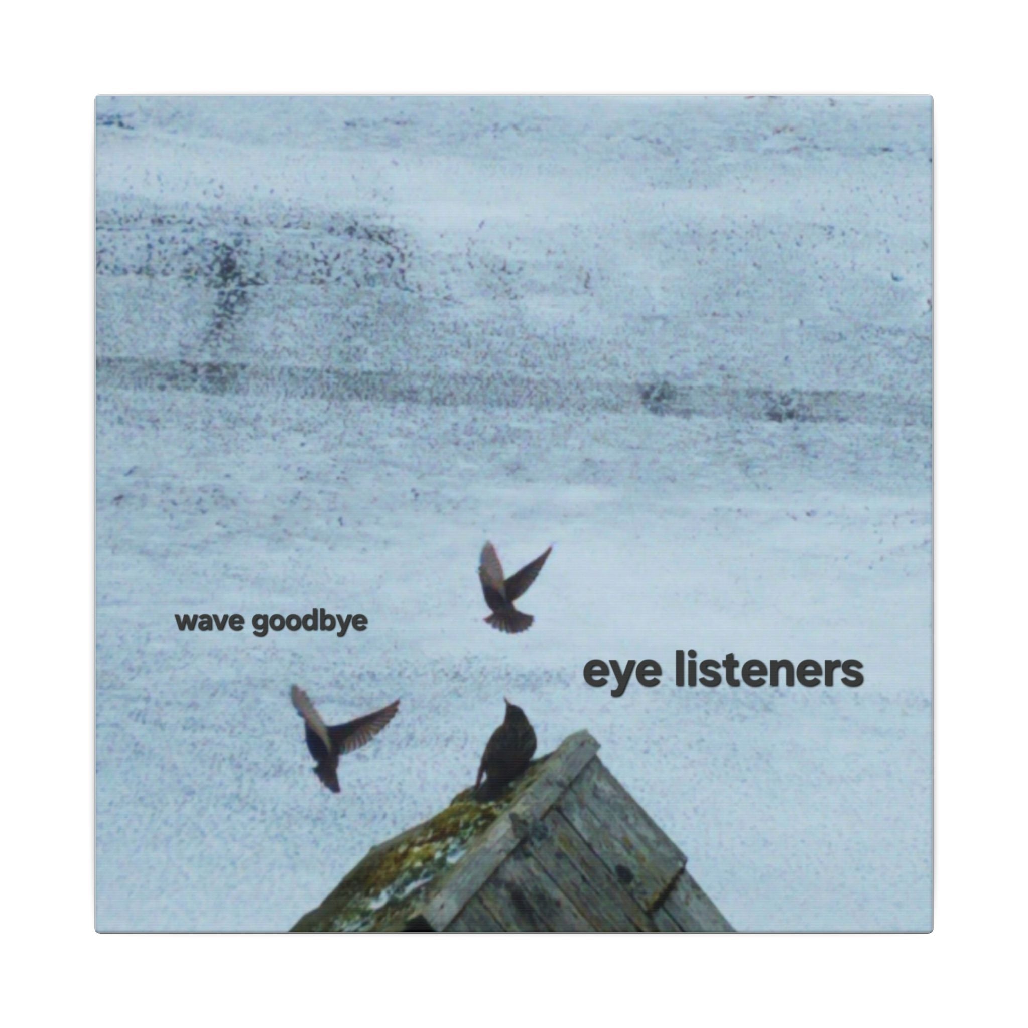 'Eye Listeners - Wave Goodbye' Matte Canvas, Stretched, 0.75"