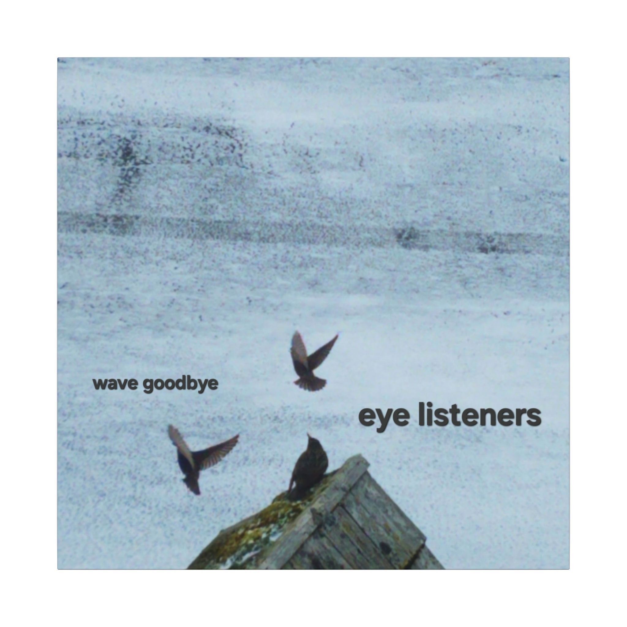 'Eye Listeners - Wave Goodbye' Matte Canvas, Stretched, 0.75" (Print On Sides)