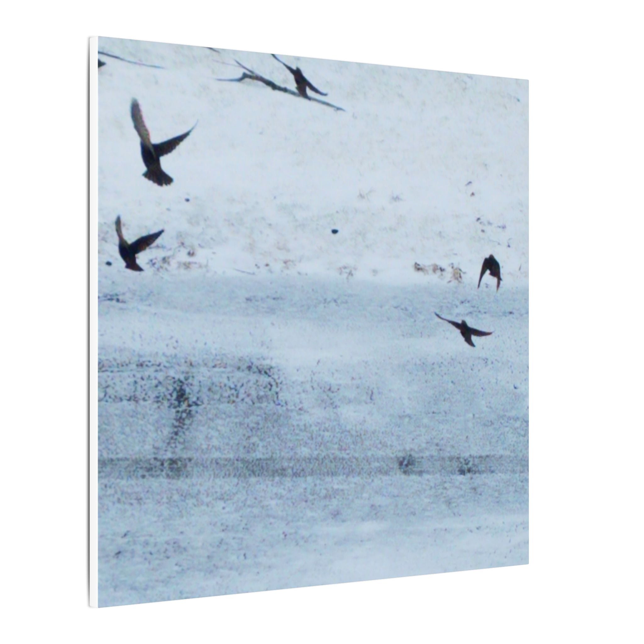 'Birds' Matte Canvas, Stretched, 0.75"
