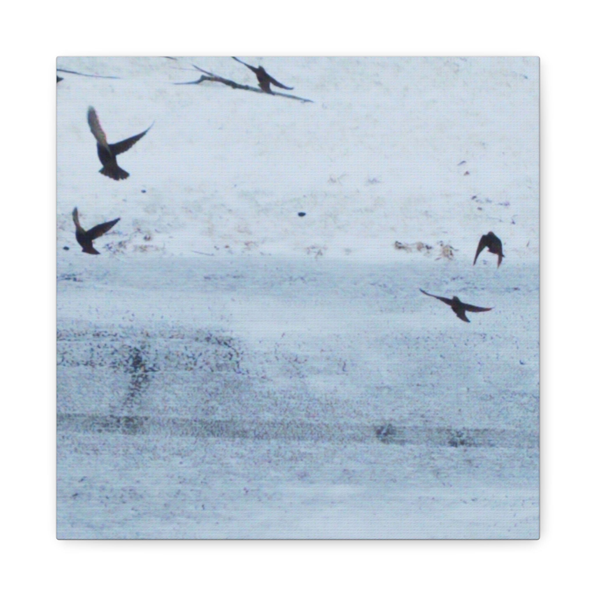 'Birds' Matte Canvas, Stretched, 1.25"