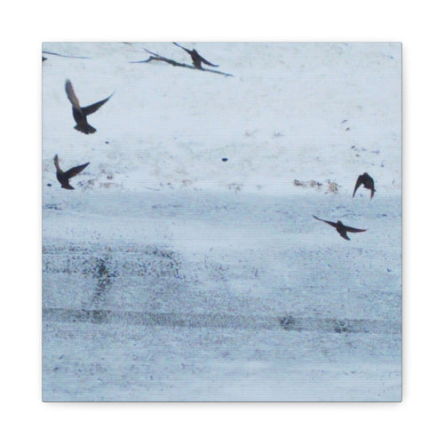 'Birds' Matte Canvas, Stretched, 1.25"