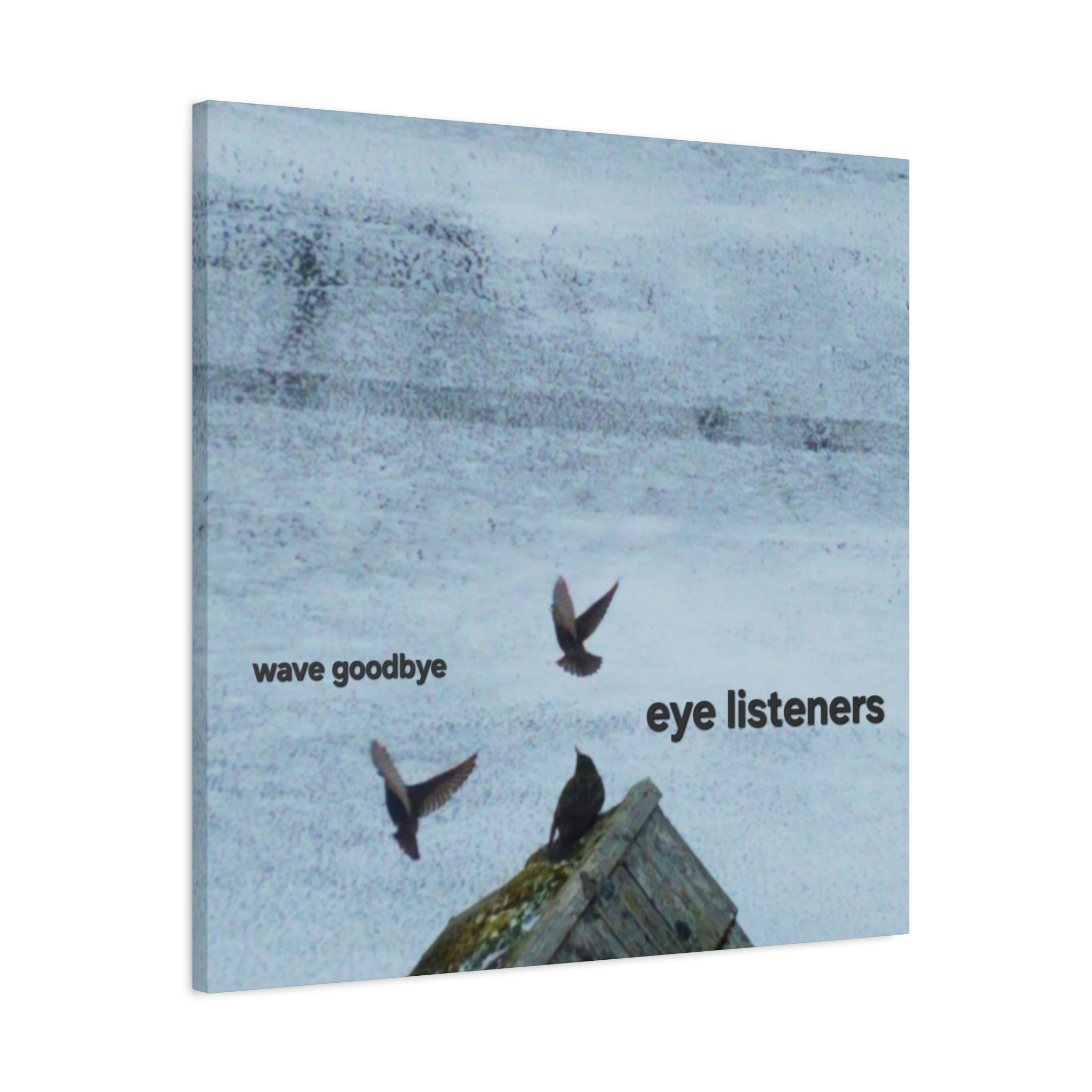 'Eye Listeners - Wave Goodbye' Matte Canvas, Stretched, 1.25" (Print On Sides)