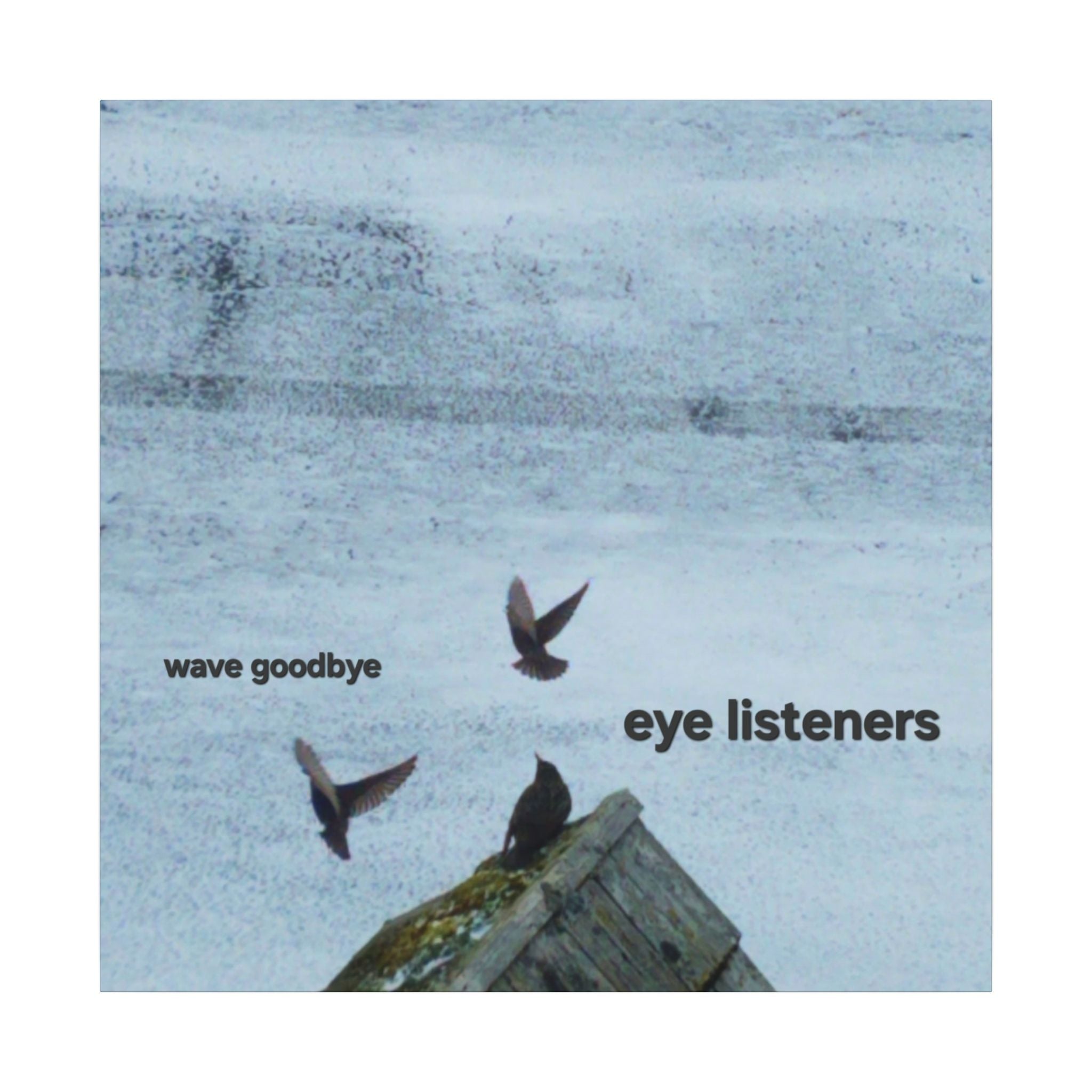 'Eye Listeners - Wave Goodbye' Matte Canvas, Stretched, 0.75" (Print On Sides)