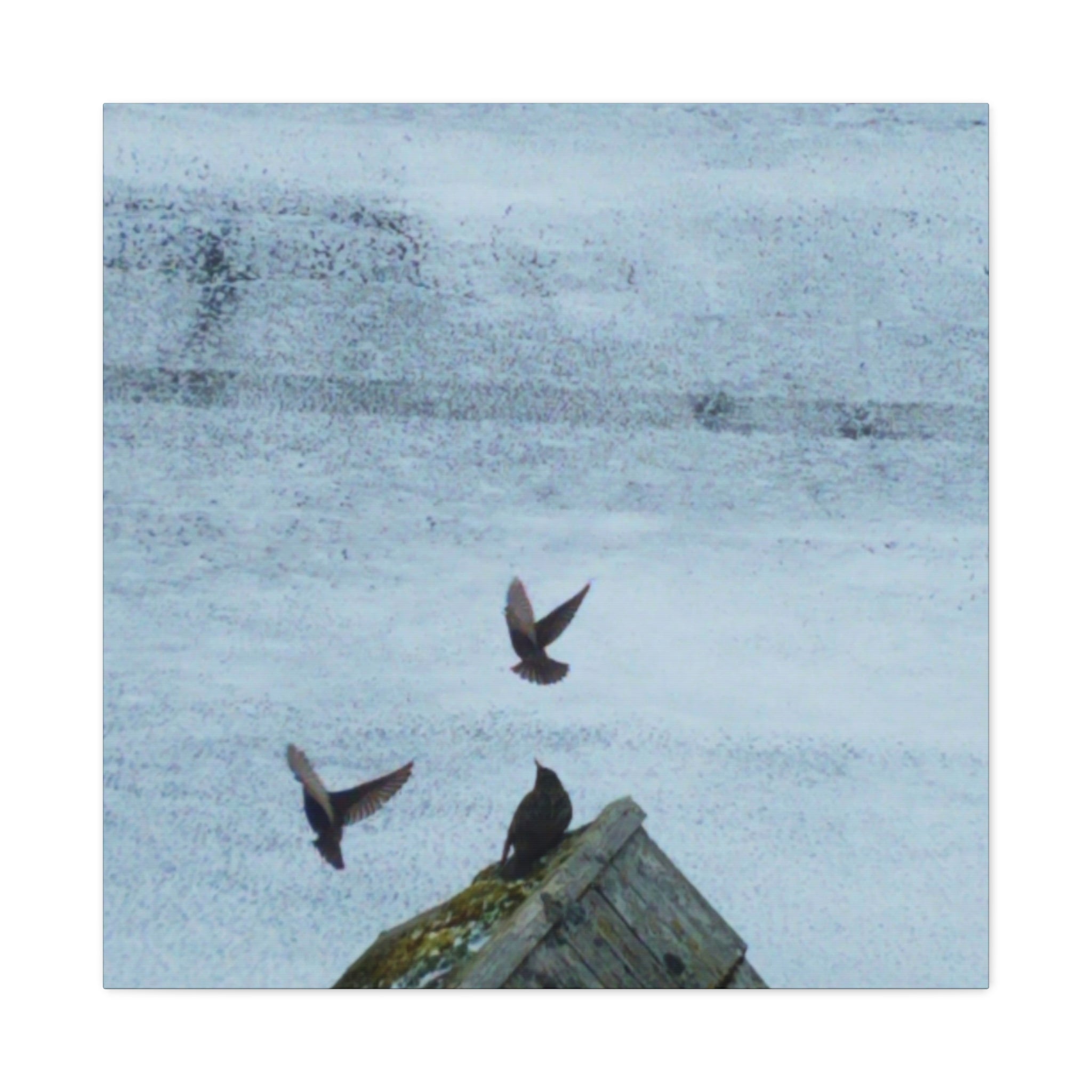 'Wave Goodbye Too' Matte Canvas, Stretched, 1.25" (Print On Sides)