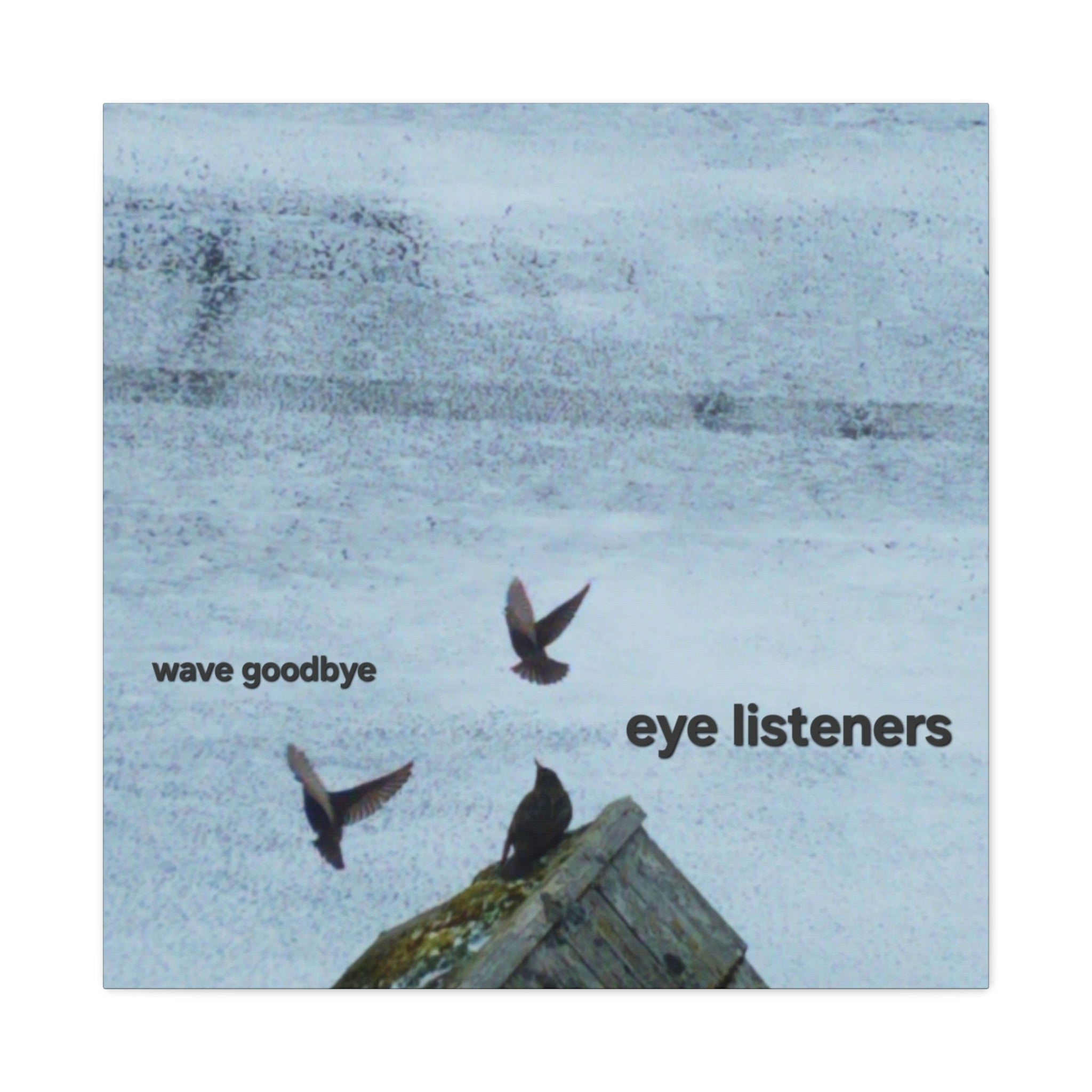 'Eye Listeners - Wave Goodbye' Matte Canvas, Stretched, 1.25" (Print On Sides)
