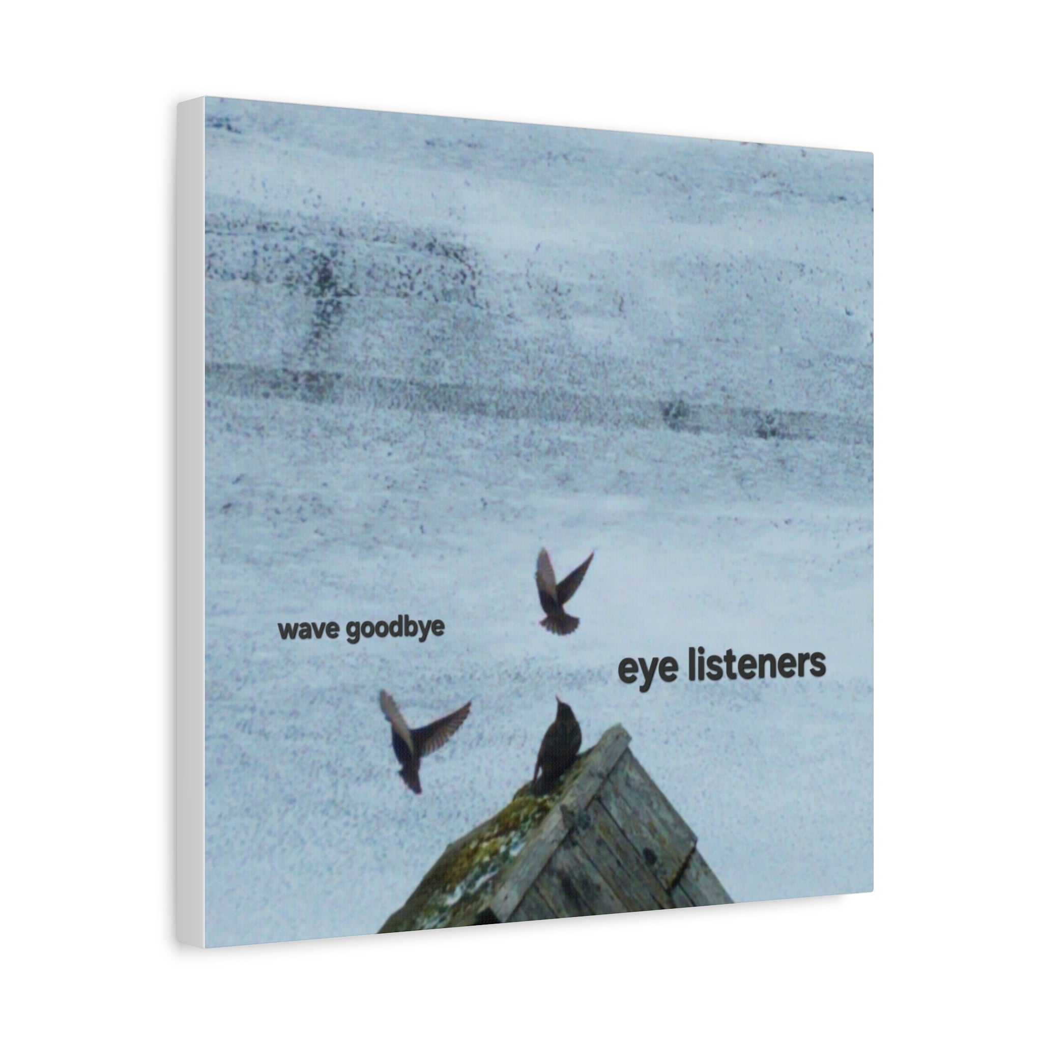'Eye Listeners - Wave Goodbye' Matte Canvas, Stretched, 1.25"