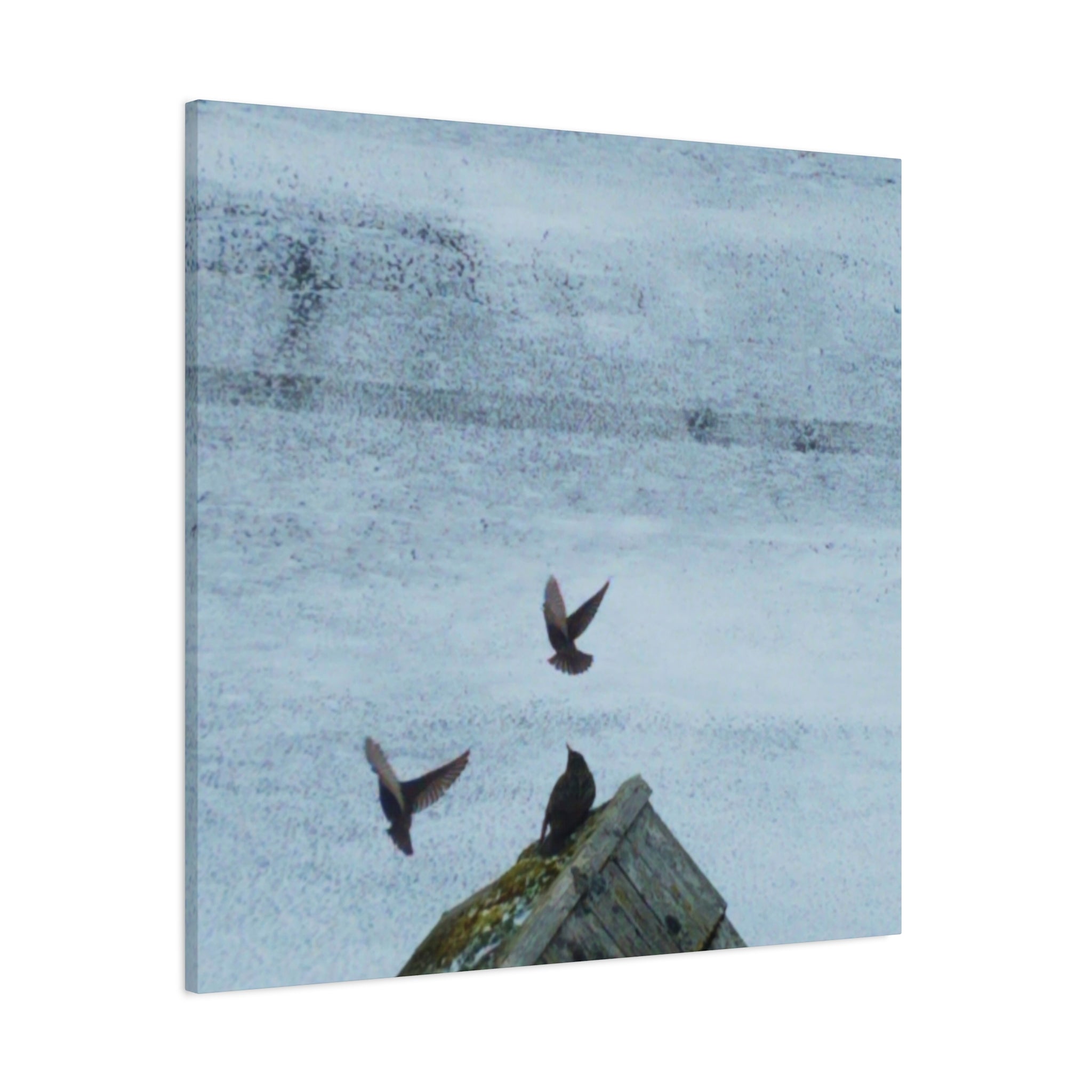 'Wave Goodbye Too' Matte Canvas, Stretched, 1.25" (Print On Sides)