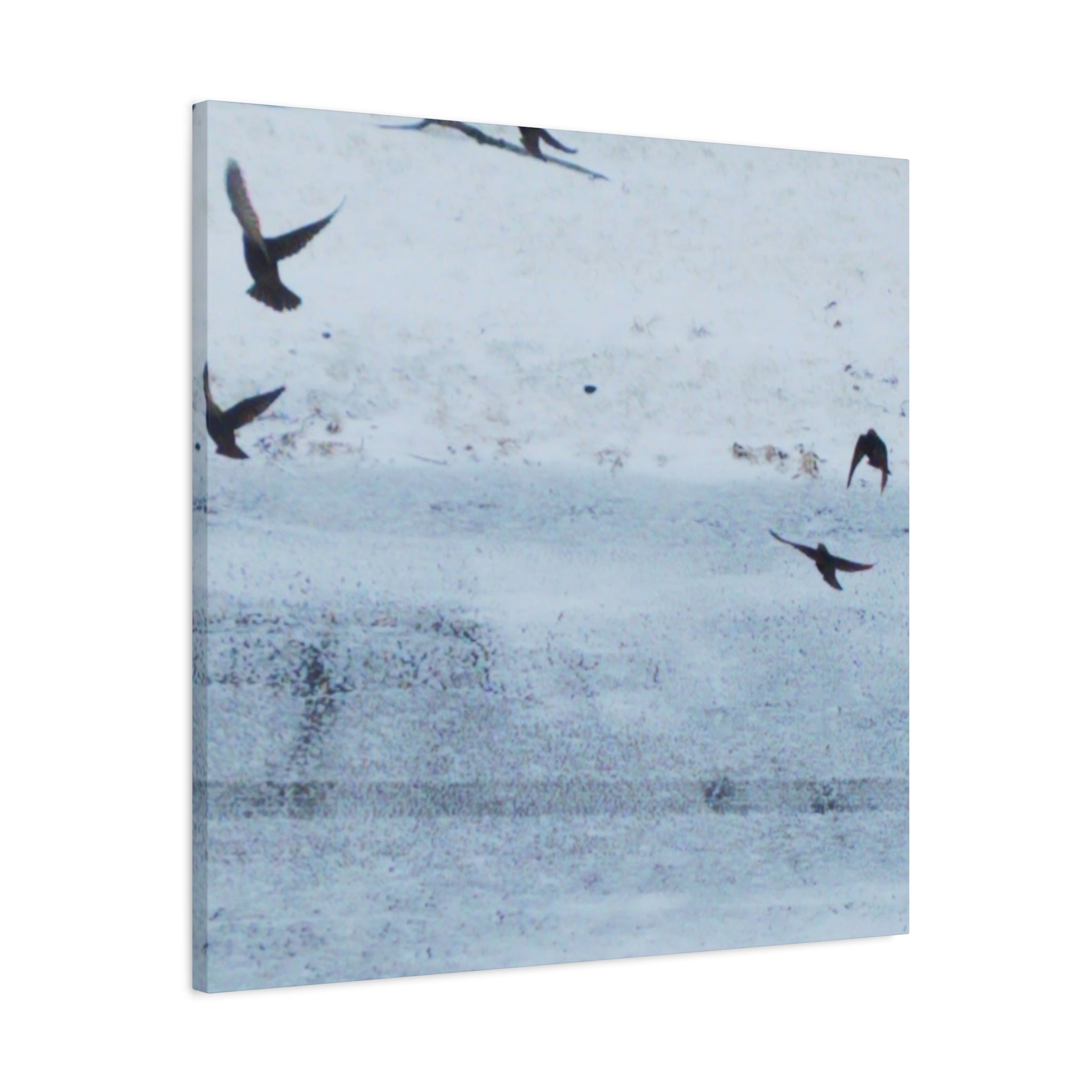 'Birds' Matte Canvas, Stretched, 1.25" (Print On Sides)