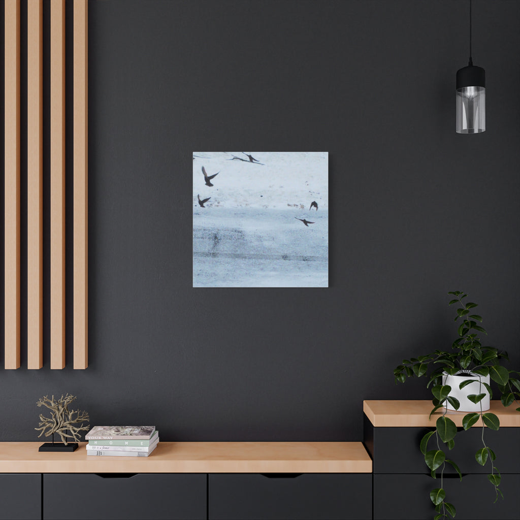 'Birds' Matte Canvas, Stretched, 1.25"