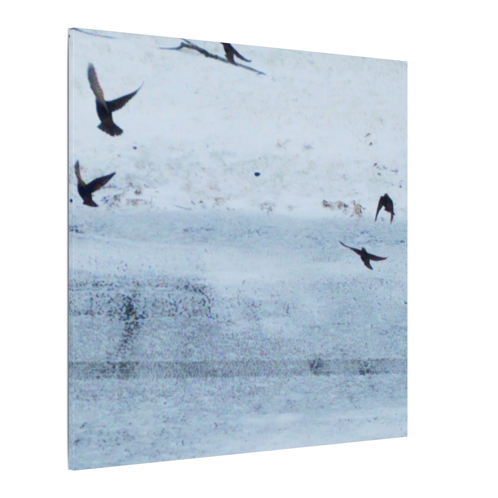 'Birds' Matte Canvas, Stretched, 0.75" (Print On Sides)