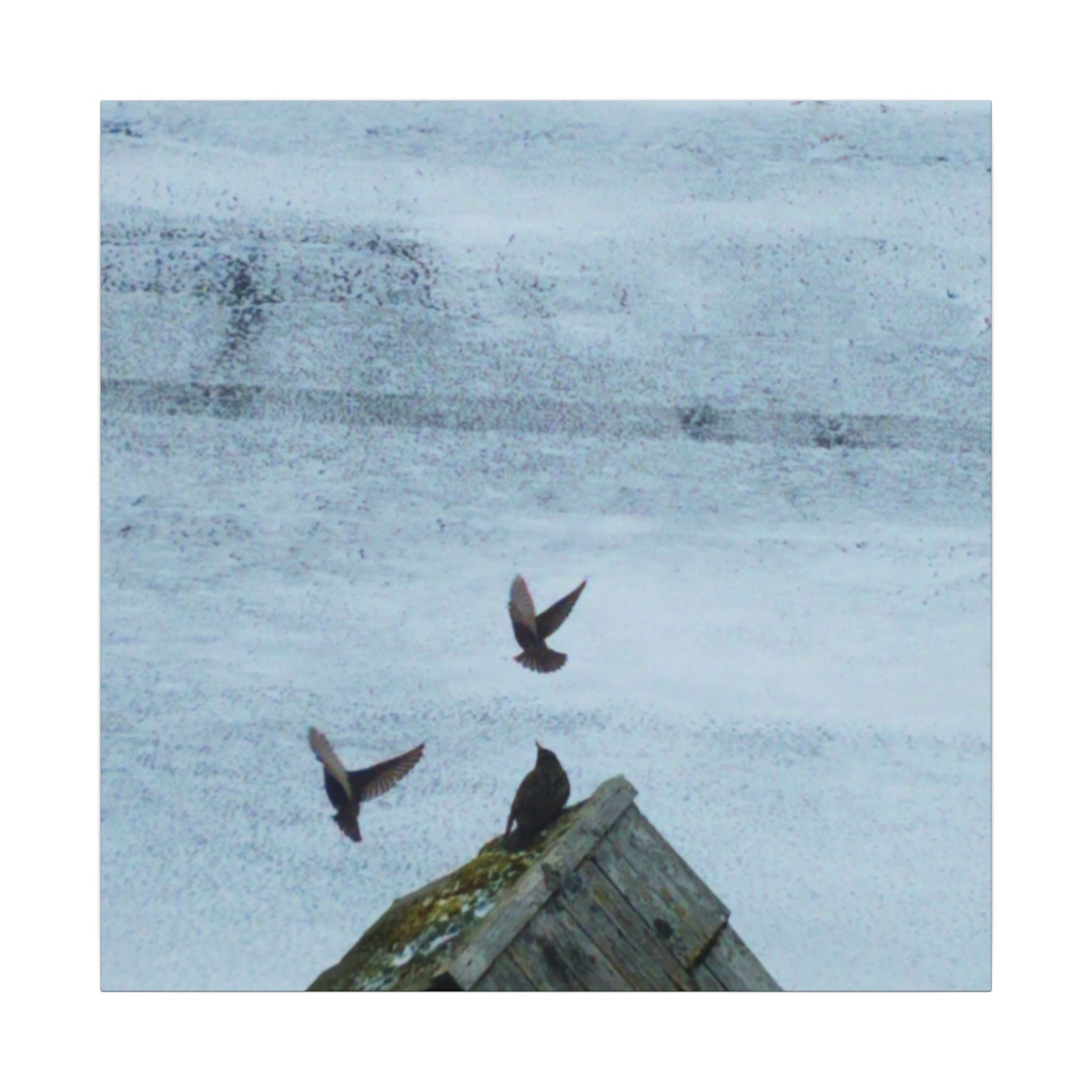 'Wave Goodbye Too' Matte Canvas, Stretched, 0.75"