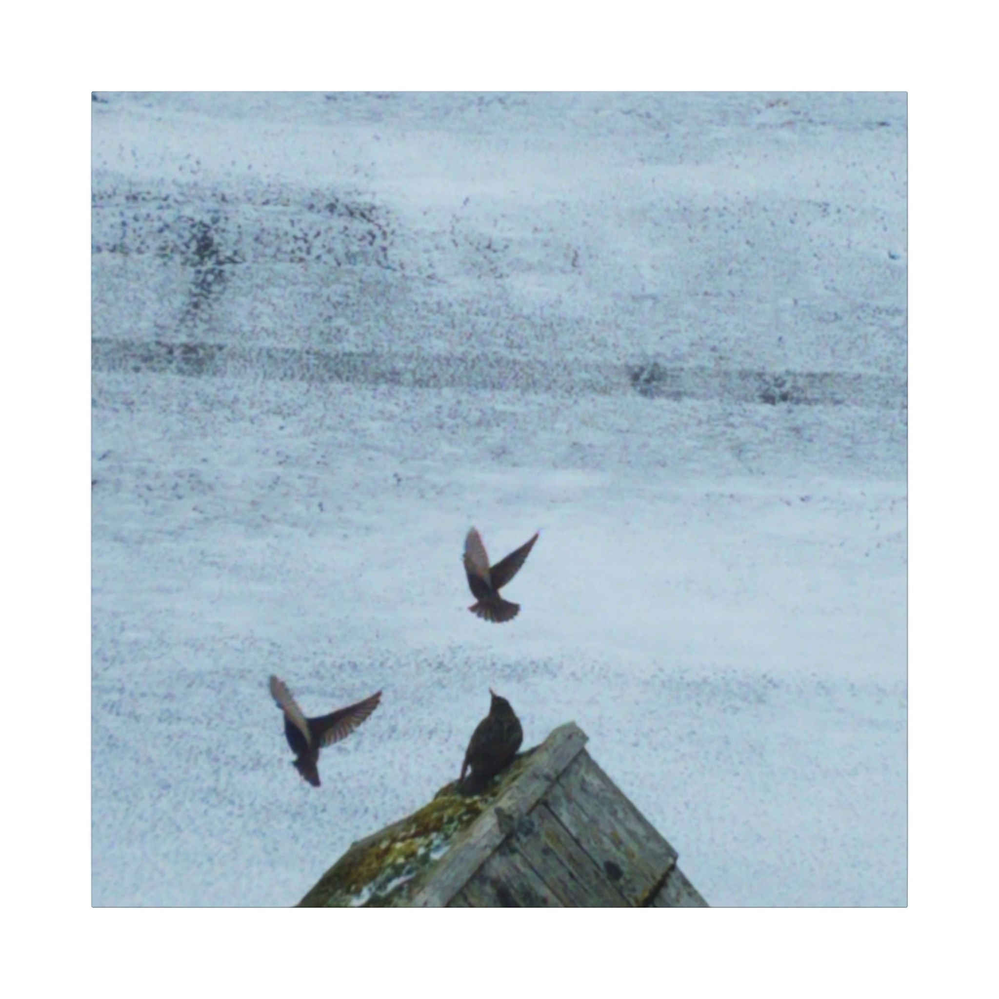 'Wave Goodbye Too' Matte Canvas, Stretched, 0.75" (Print On Sides)