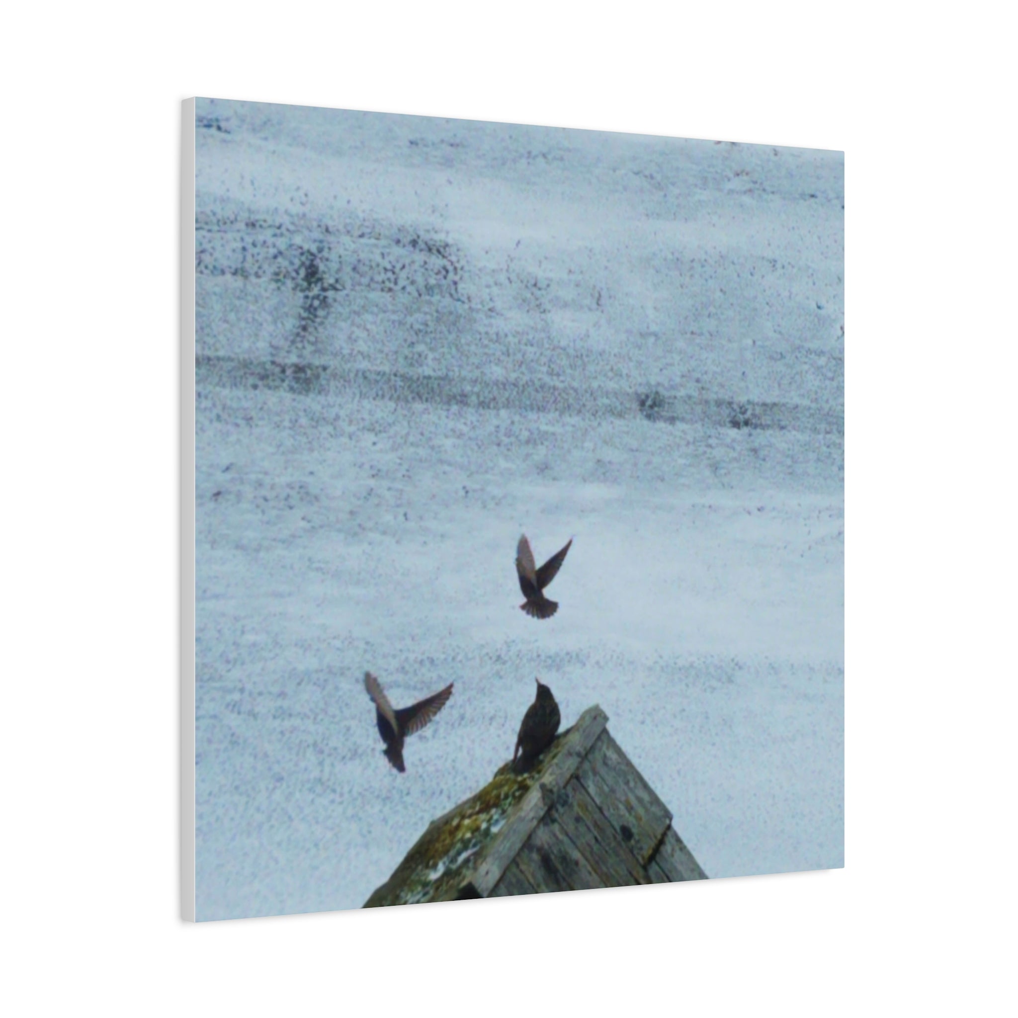 'Wave Goodbye Too' Matte Canvas, Stretched, 1.25"