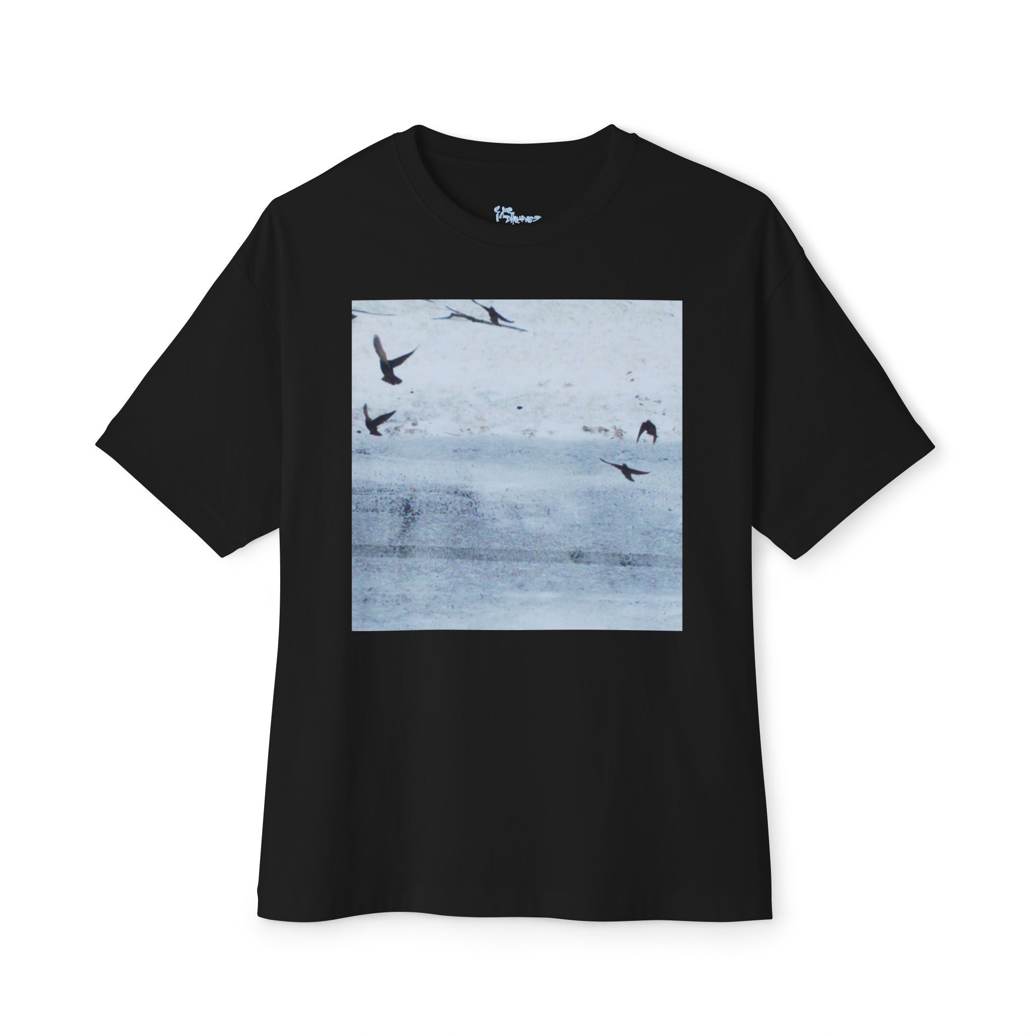 'Birds' Unisex Oversized Boxy Tee