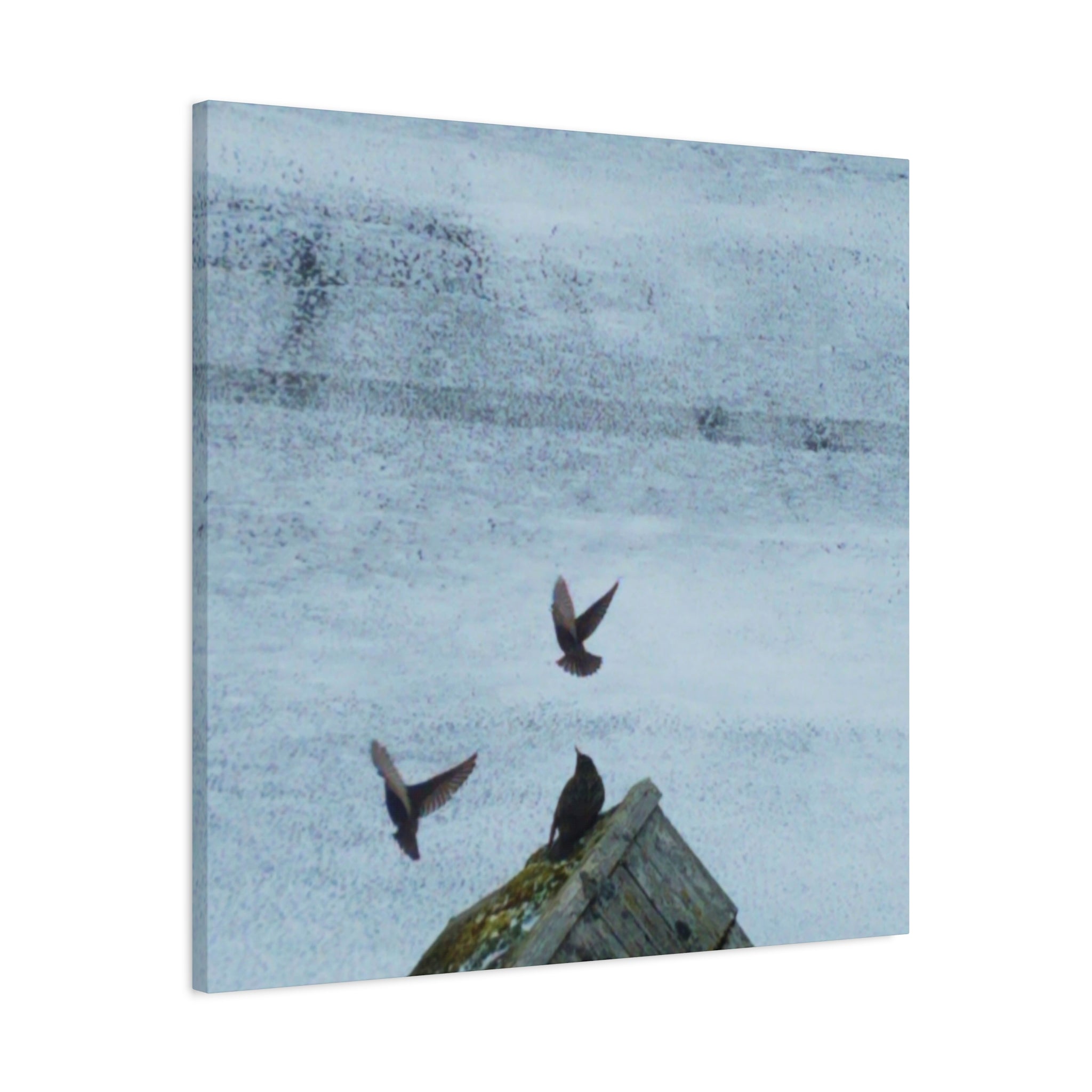'Wave Goodbye Too' Matte Canvas, Stretched, 1.25" (Print On Sides)