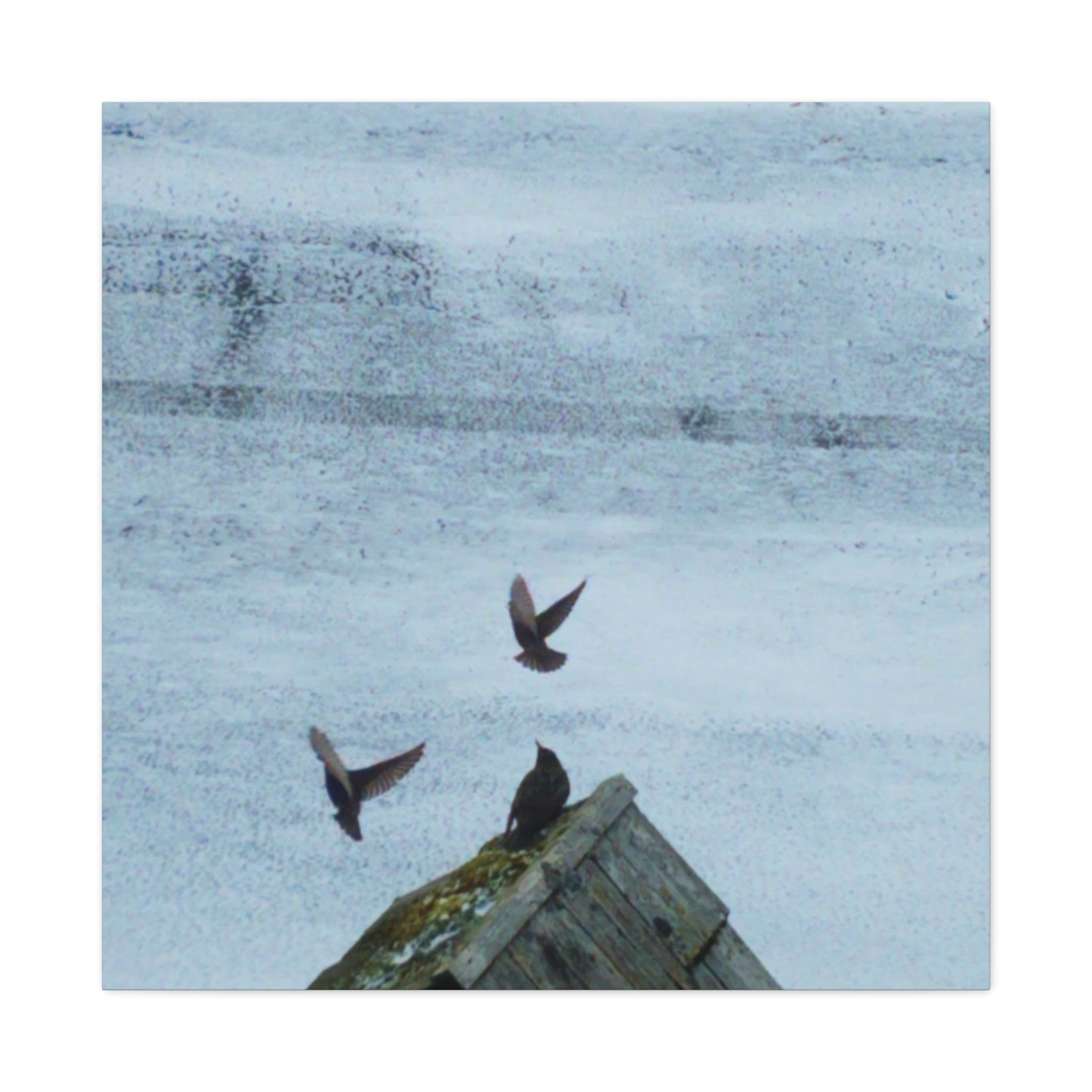 'Wave Goodbye Too' Matte Canvas, Stretched, 1.25"