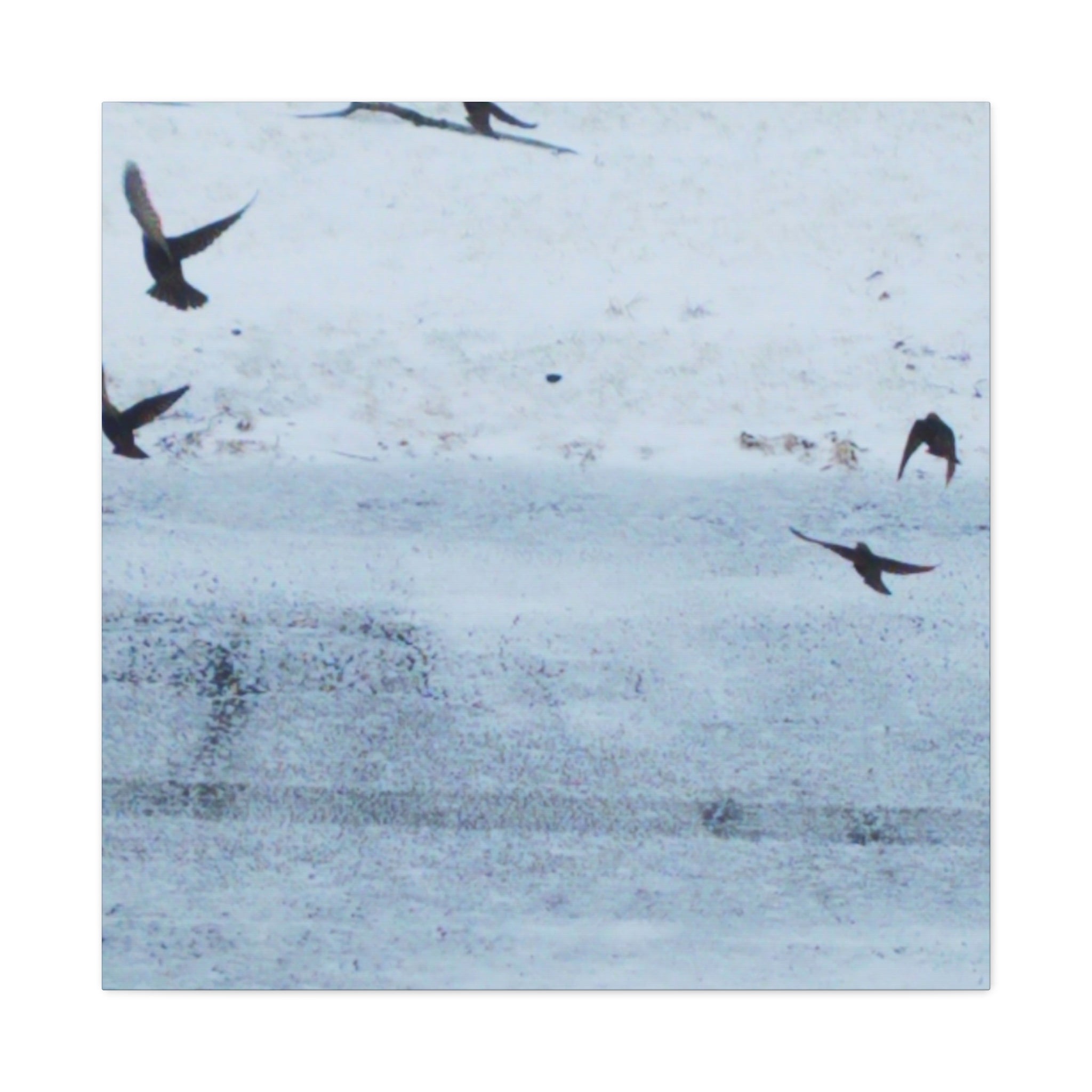 'Birds' Matte Canvas, Stretched, 1.25" (Print On Sides)