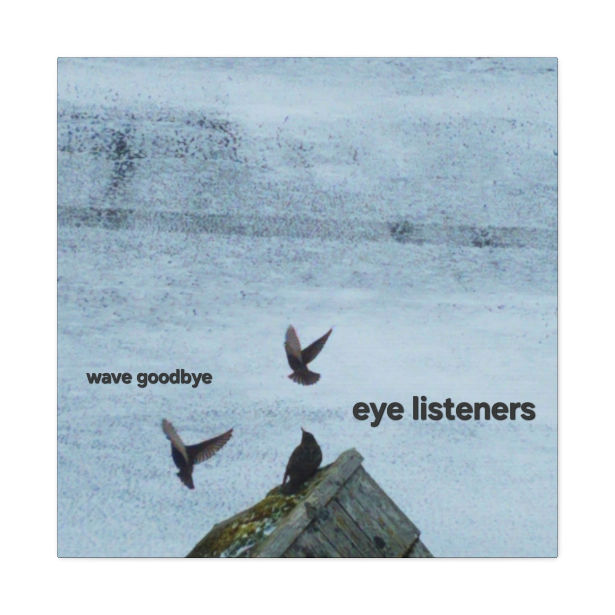 'Eye Listeners - Wave Goodbye' Matte Canvas, Stretched, 1.25" (Print On Sides)