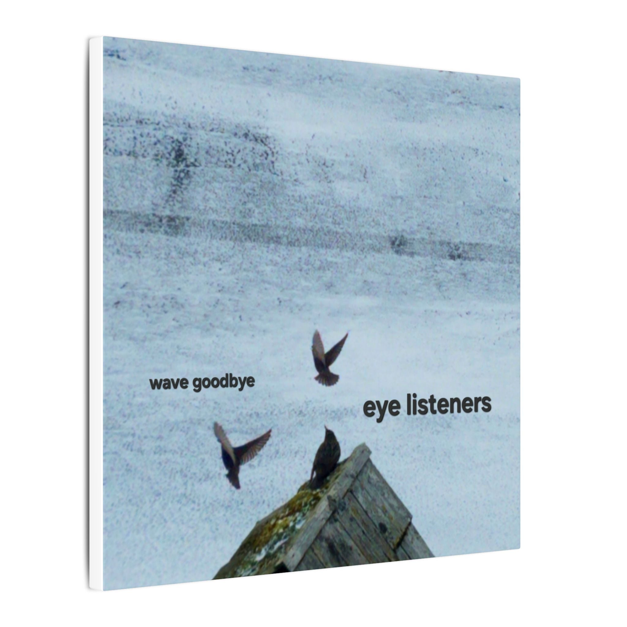 'Eye Listeners - Wave Goodbye' Matte Canvas, Stretched, 0.75"