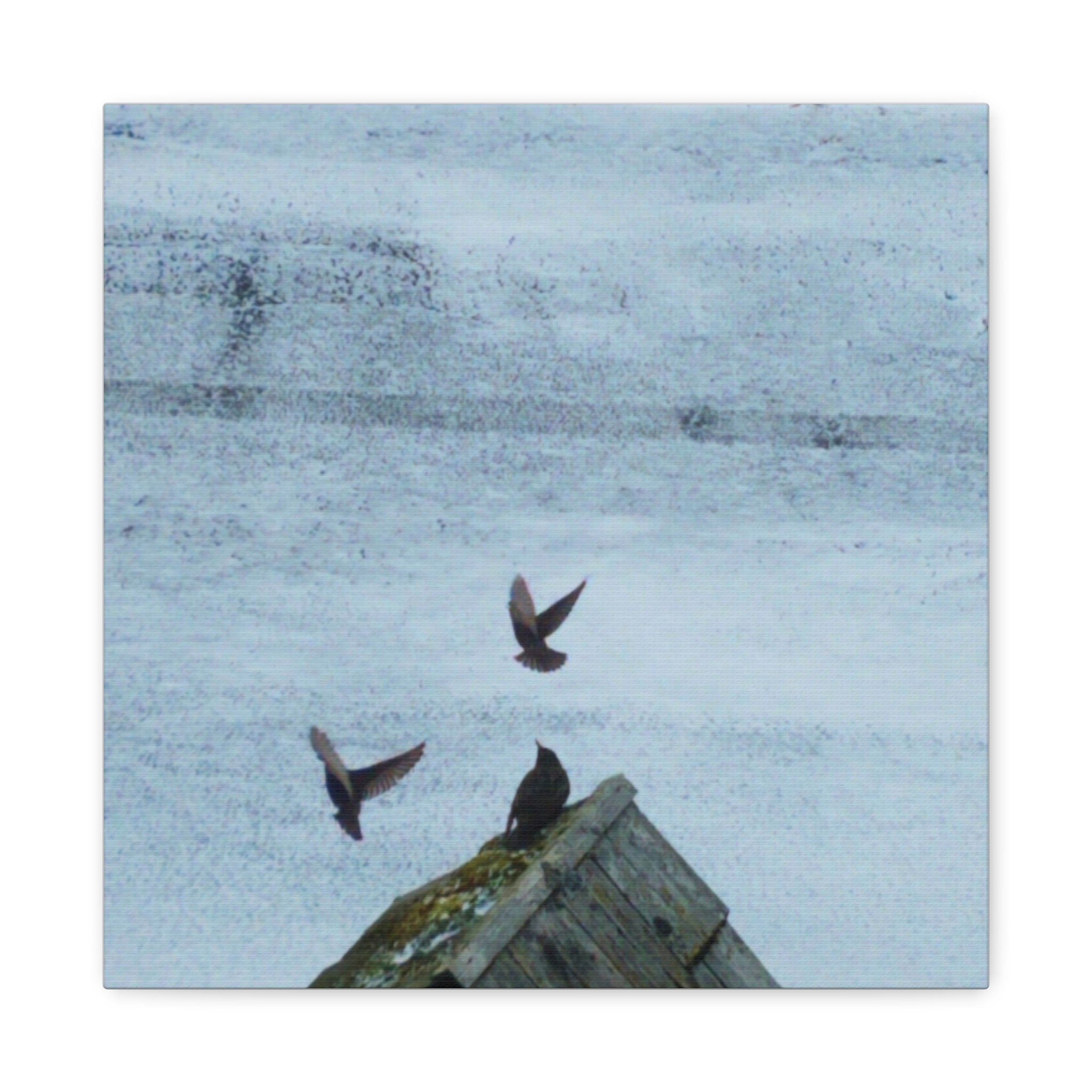 'Wave Goodbye Too' Matte Canvas, Stretched, 1.25"