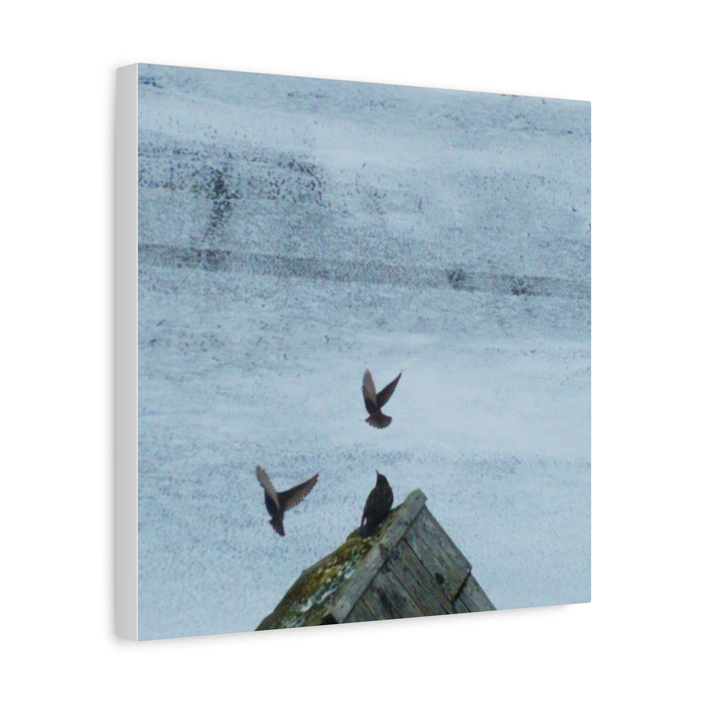 'Wave Goodbye Too' Matte Canvas, Stretched, 1.25"