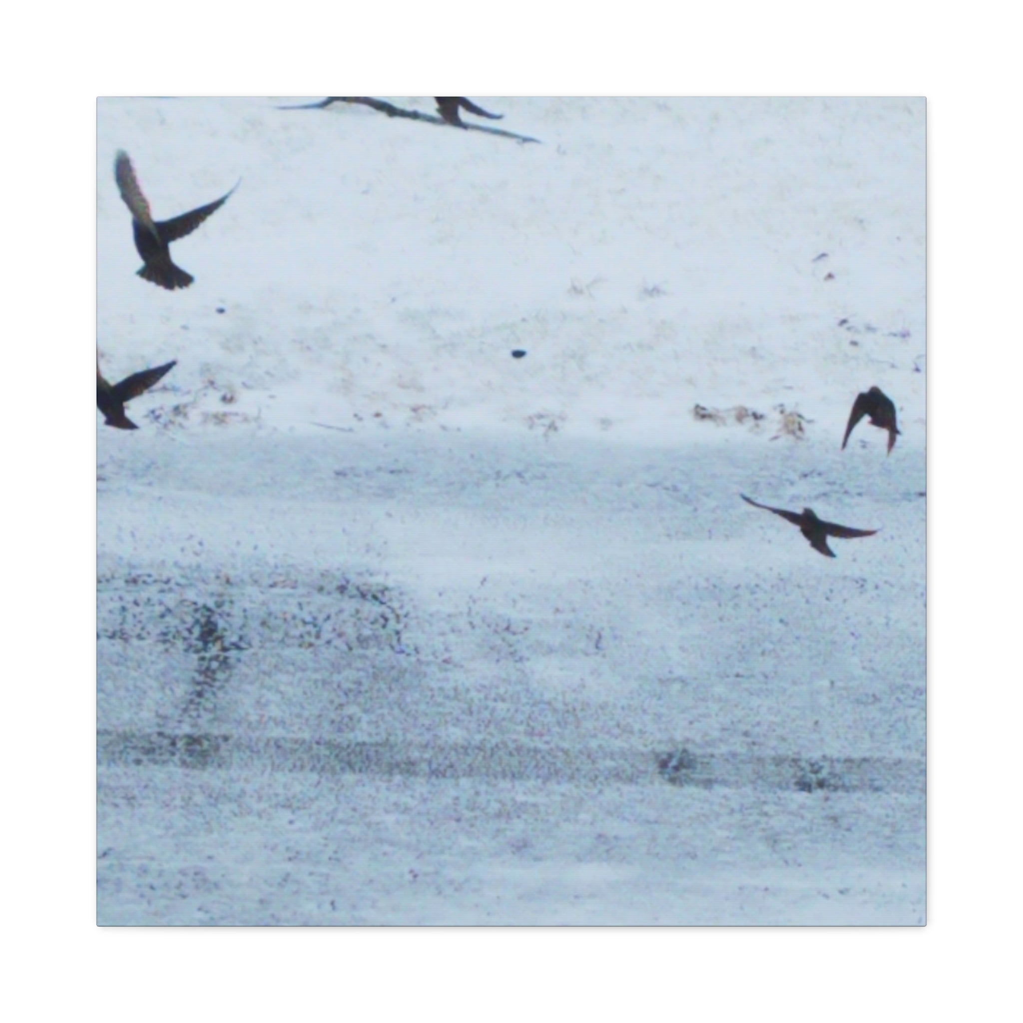 'Birds' Matte Canvas, Stretched, 1.25" (Print On Sides)