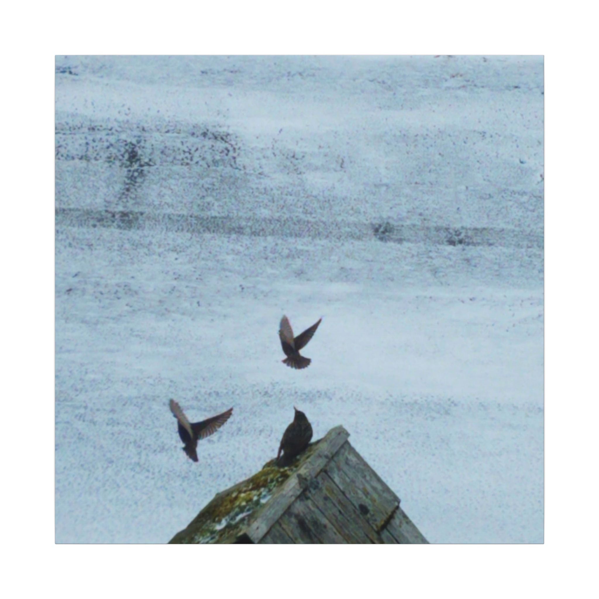 'Wave Goodbye Too' Matte Canvas, Stretched, 0.75"