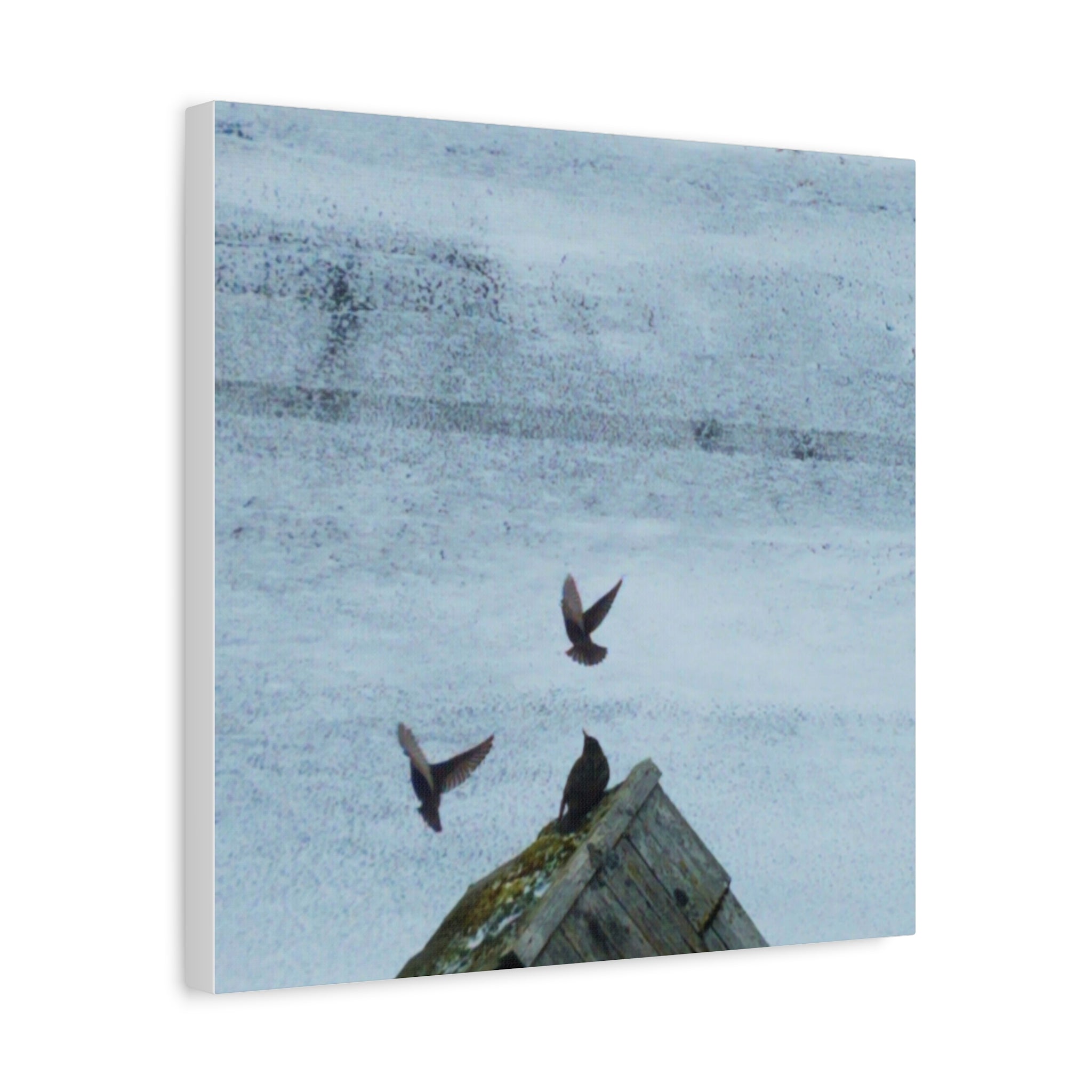 'Wave Goodbye Too' Matte Canvas, Stretched, 1.25"