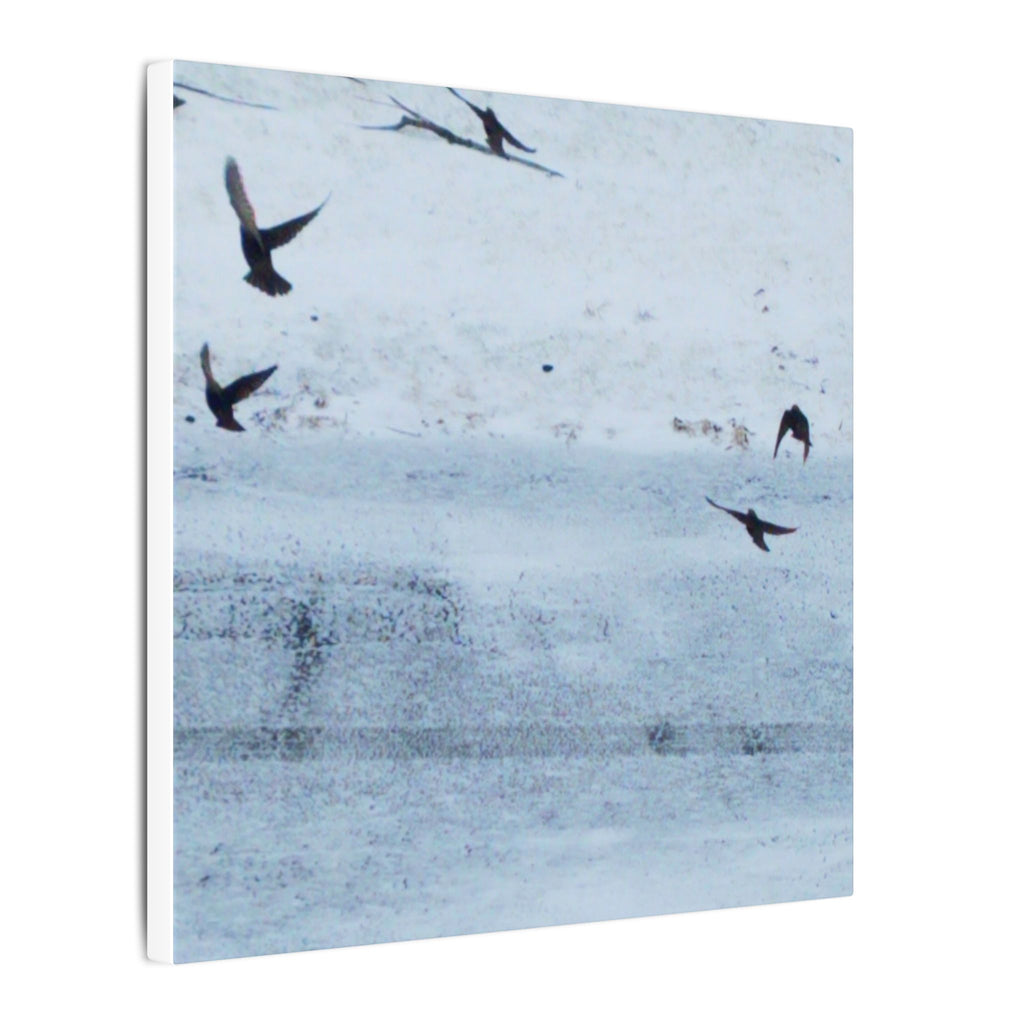 'Birds' Matte Canvas, Stretched, 0.75"
