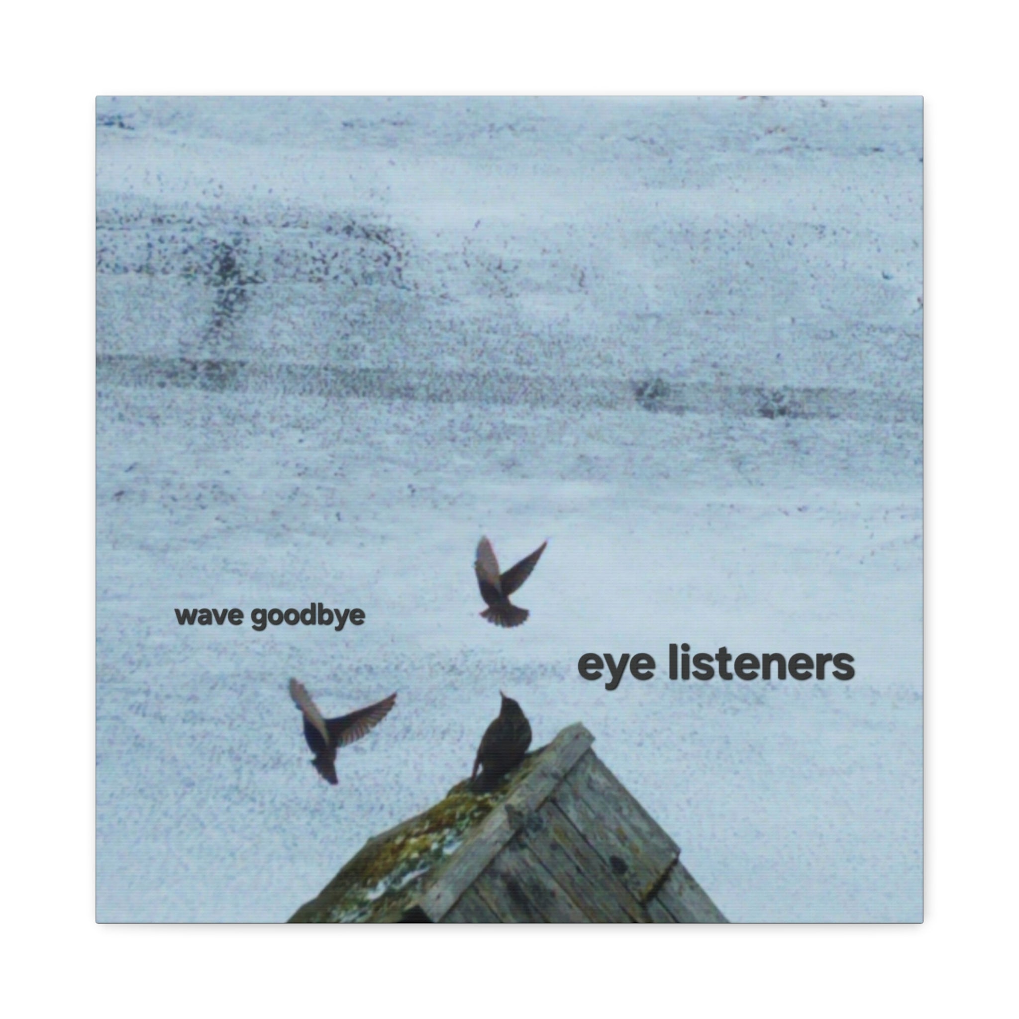 'Eye Listeners - Wave Goodbye' Matte Canvas, Stretched, 1.25"
