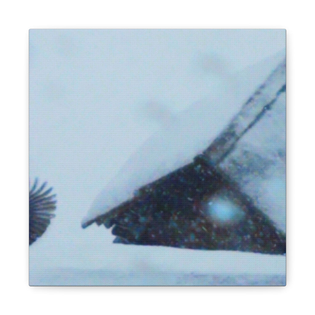 'Wave Goodbye' Matte Canvas, Stretched, 1.25"