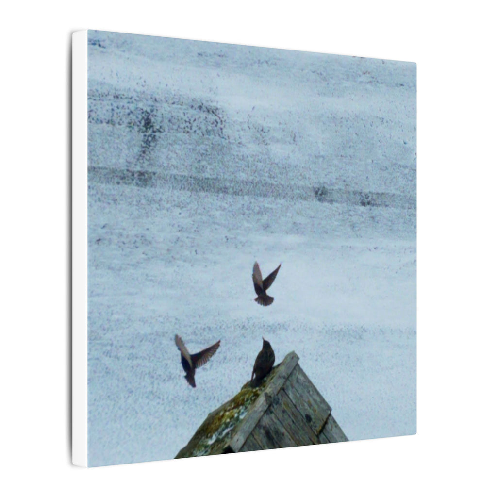 'Wave Goodbye Too' Matte Canvas, Stretched, 0.75"