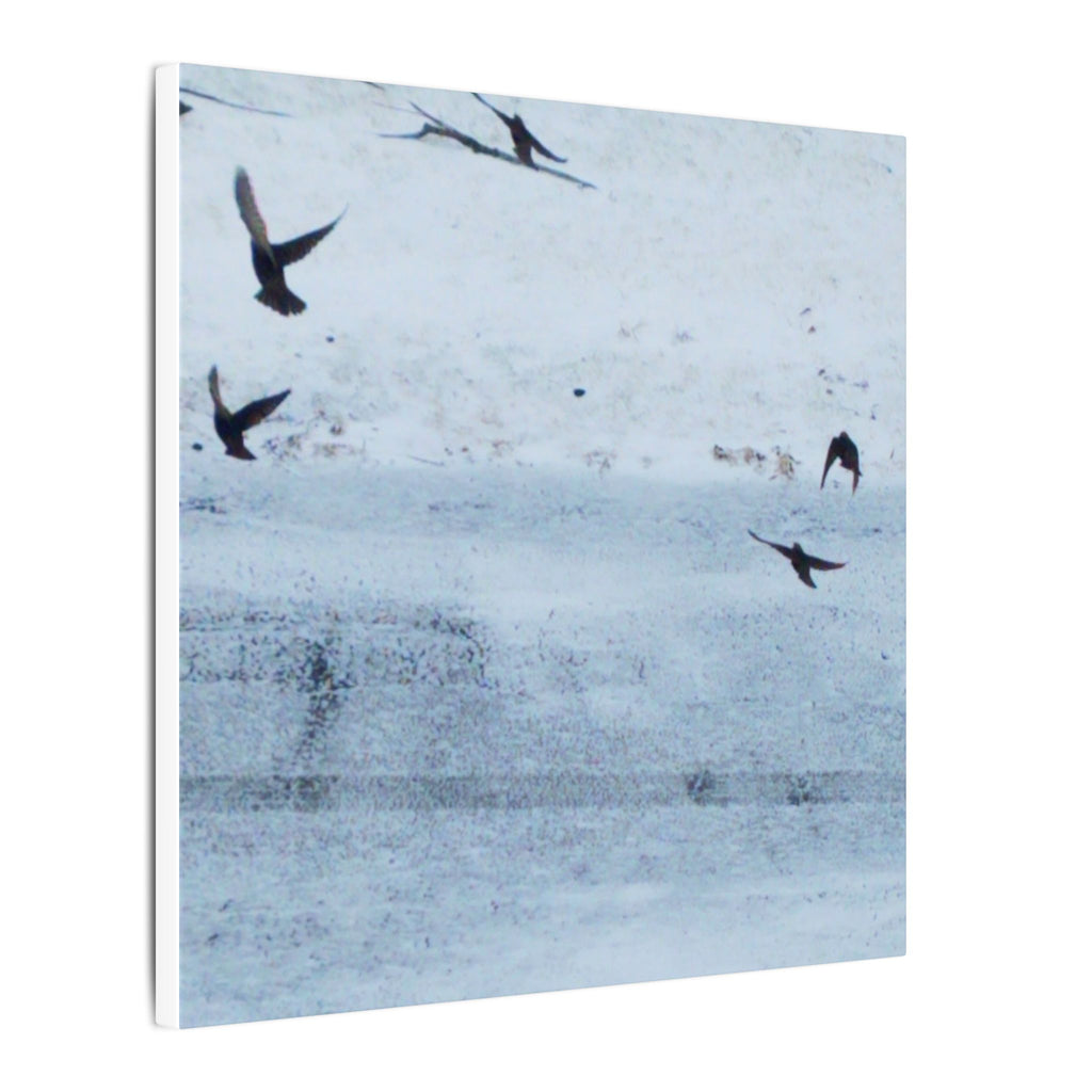 'Birds' Matte Canvas, Stretched, 0.75"