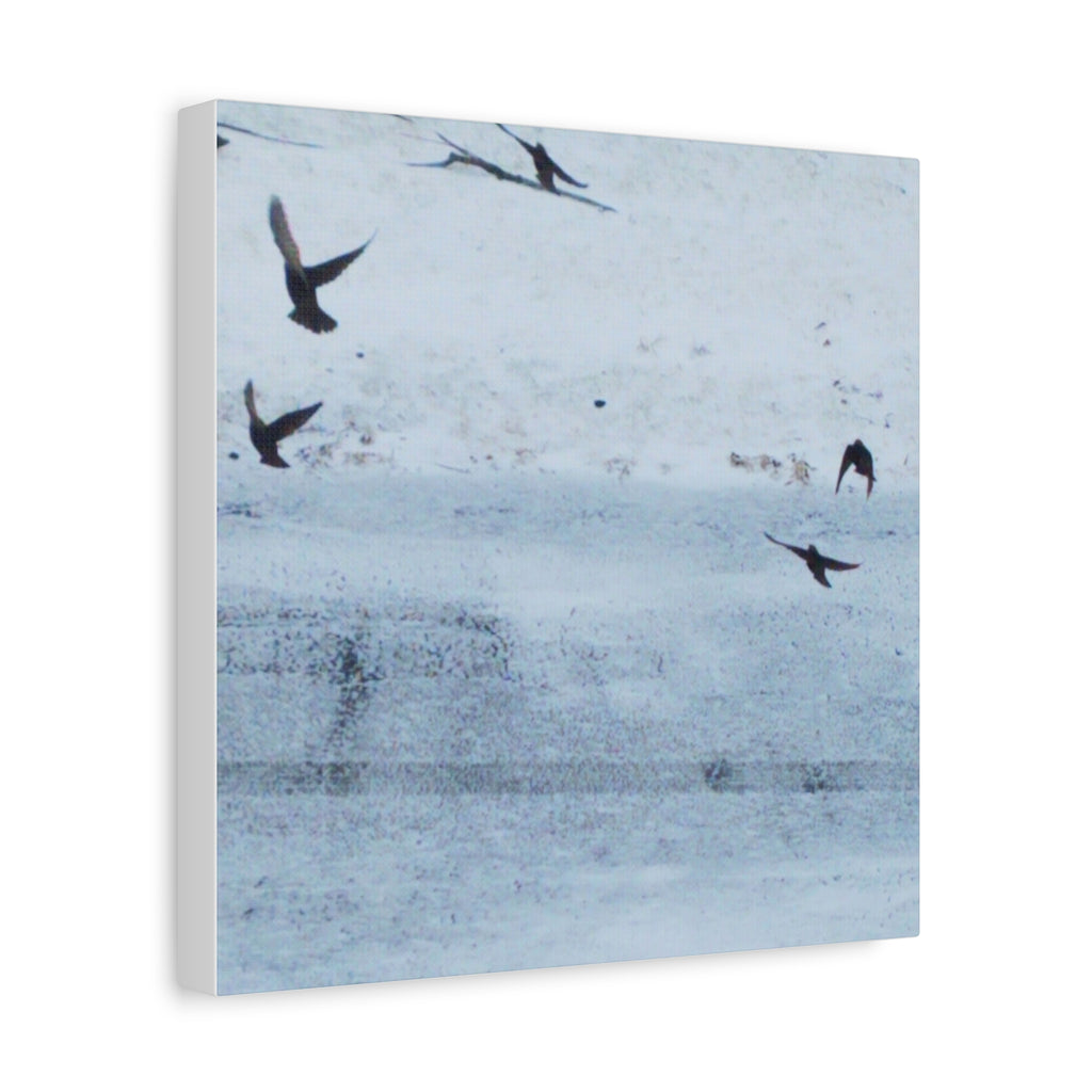'Birds' Matte Canvas, Stretched, 1.25"