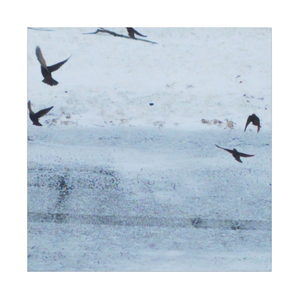 'Birds' Matte Canvas, Stretched, 0.75" (Print On Sides)