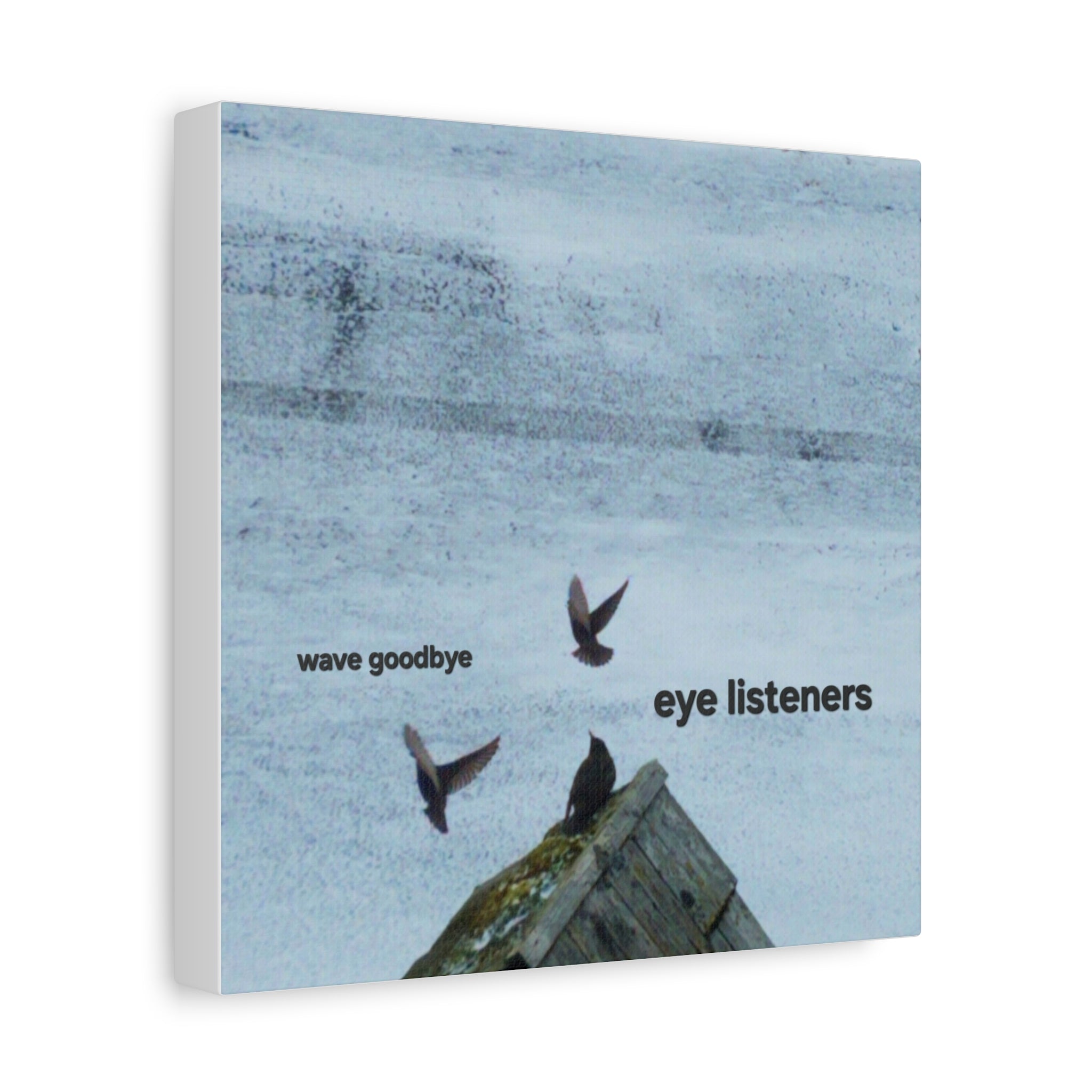 'Eye Listeners - Wave Goodbye' Matte Canvas, Stretched, 1.25"