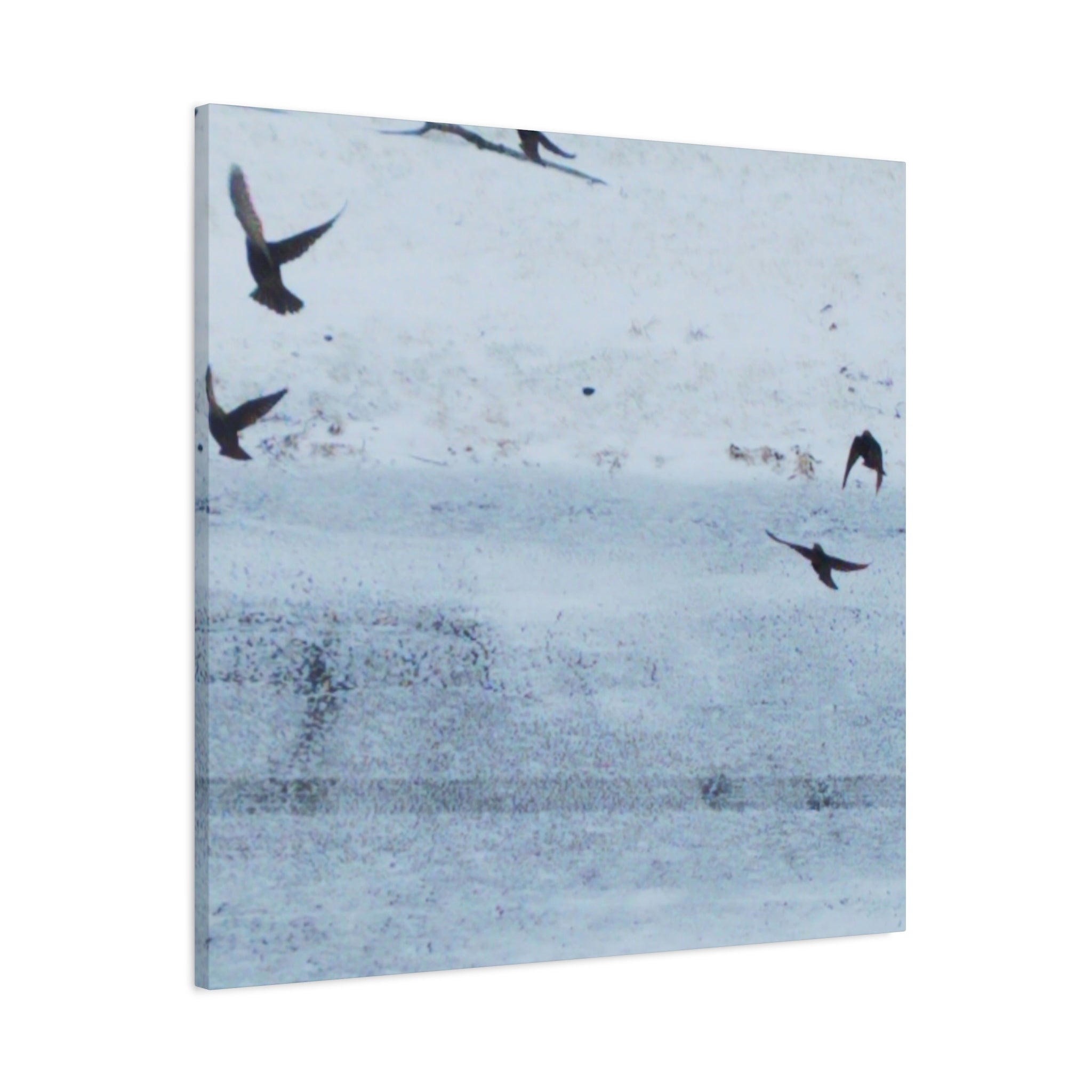 'Birds' Matte Canvas, Stretched, 1.25" (Print On Sides)