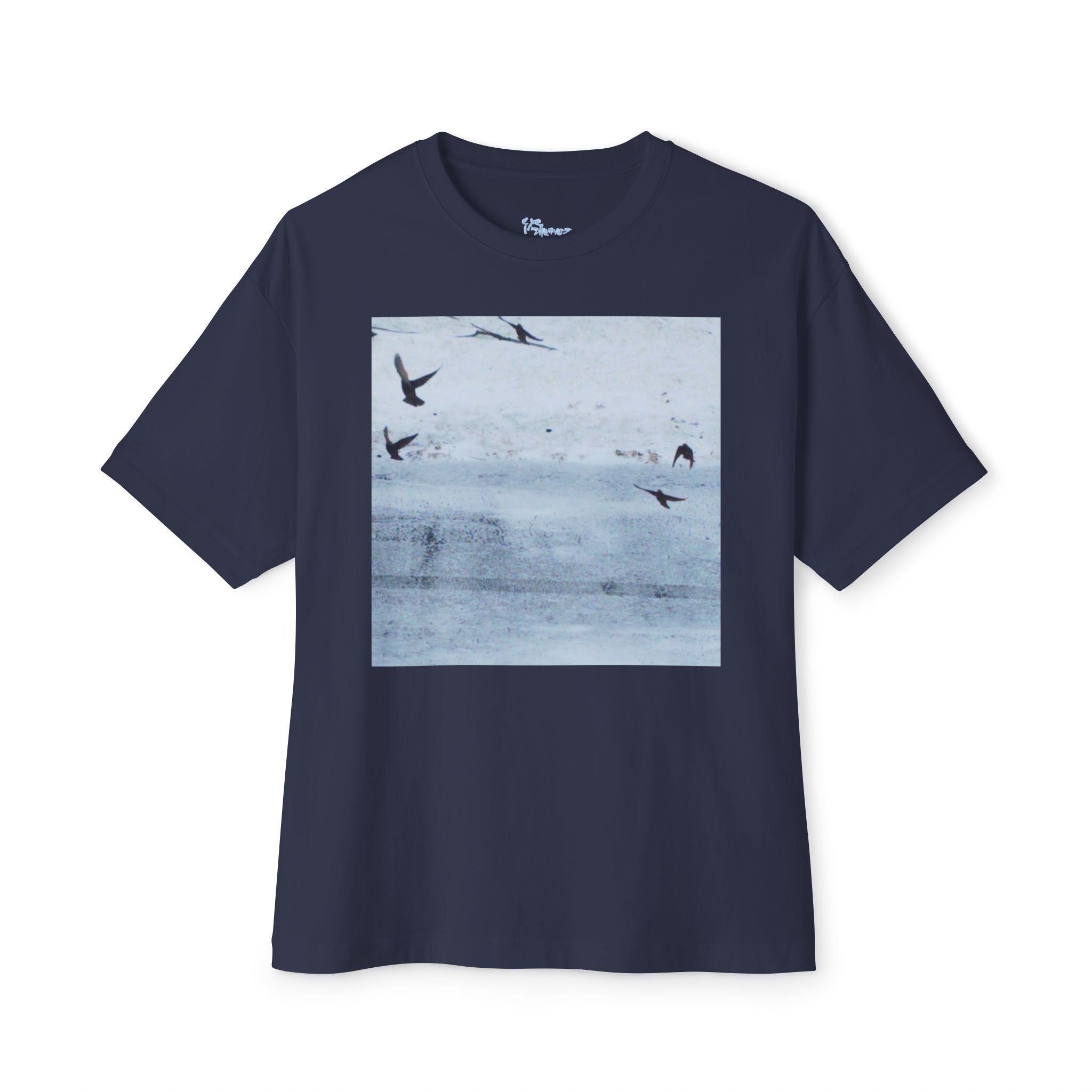 'Birds' Unisex Oversized Boxy Tee
