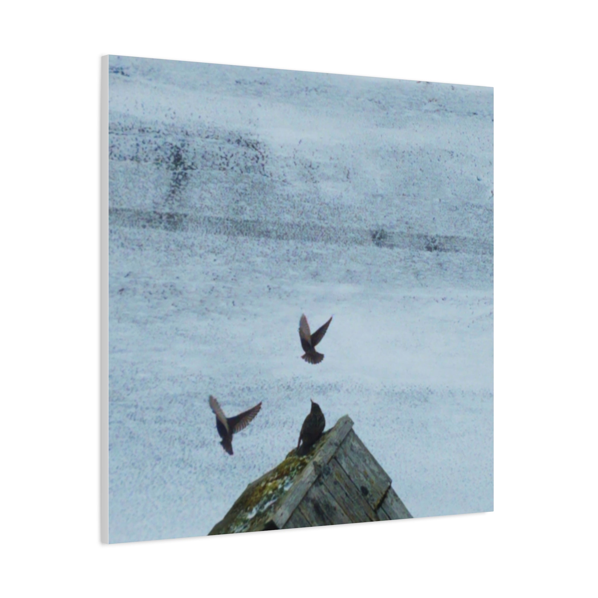 'Wave Goodbye Too' Matte Canvas, Stretched, 1.25"
