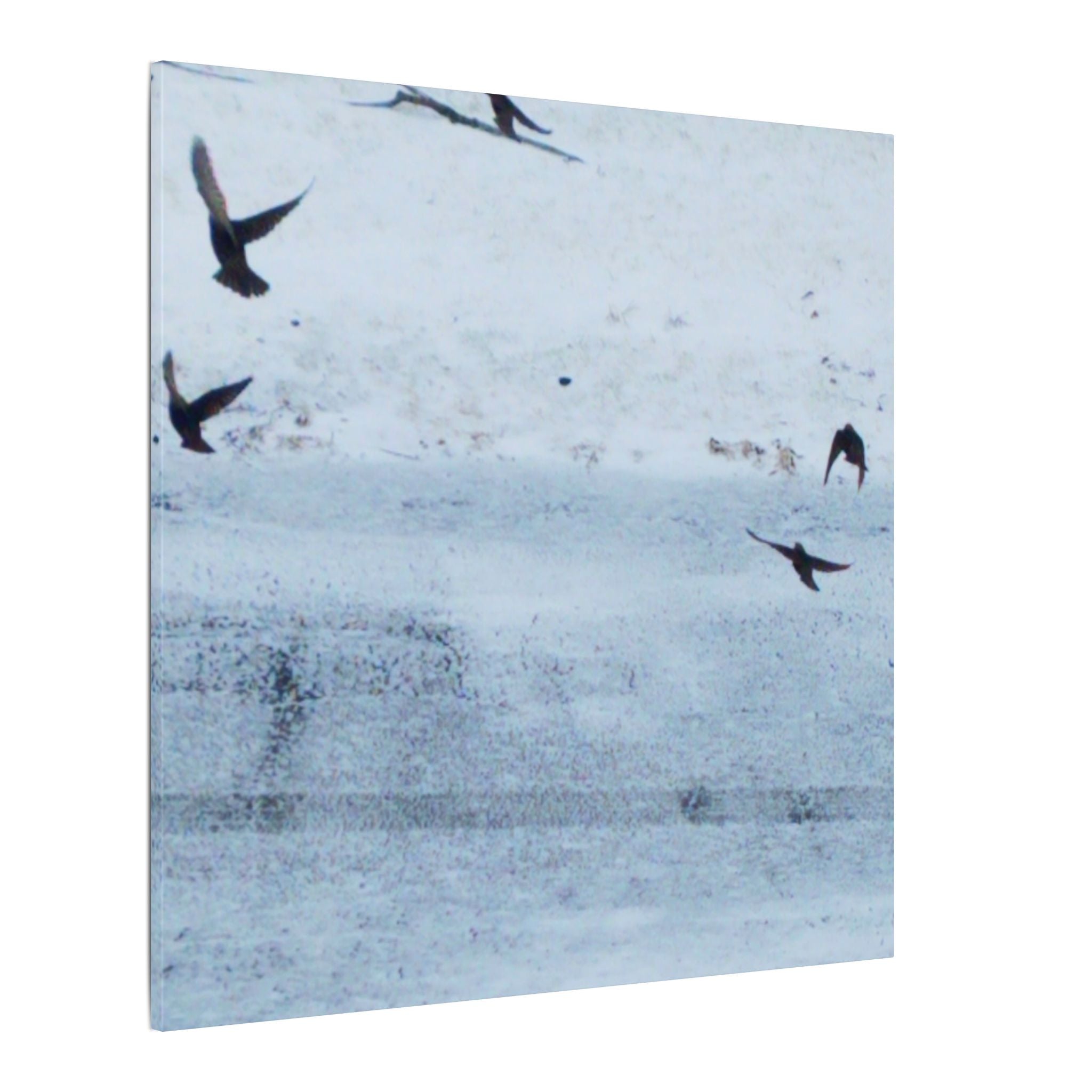 'Birds' Matte Canvas, Stretched, 0.75" (Print On Sides)