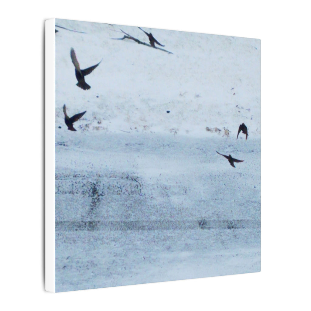 'Birds' Matte Canvas, Stretched, 0.75"