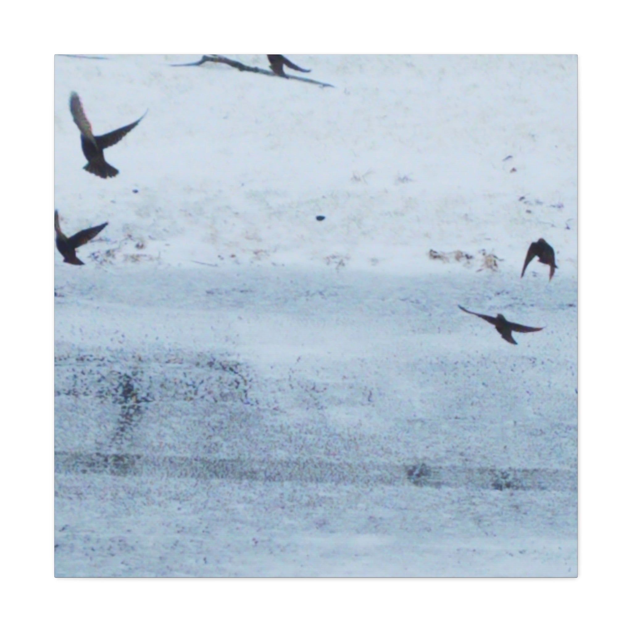'Birds' Matte Canvas, Stretched, 1.25" (Print On Sides)