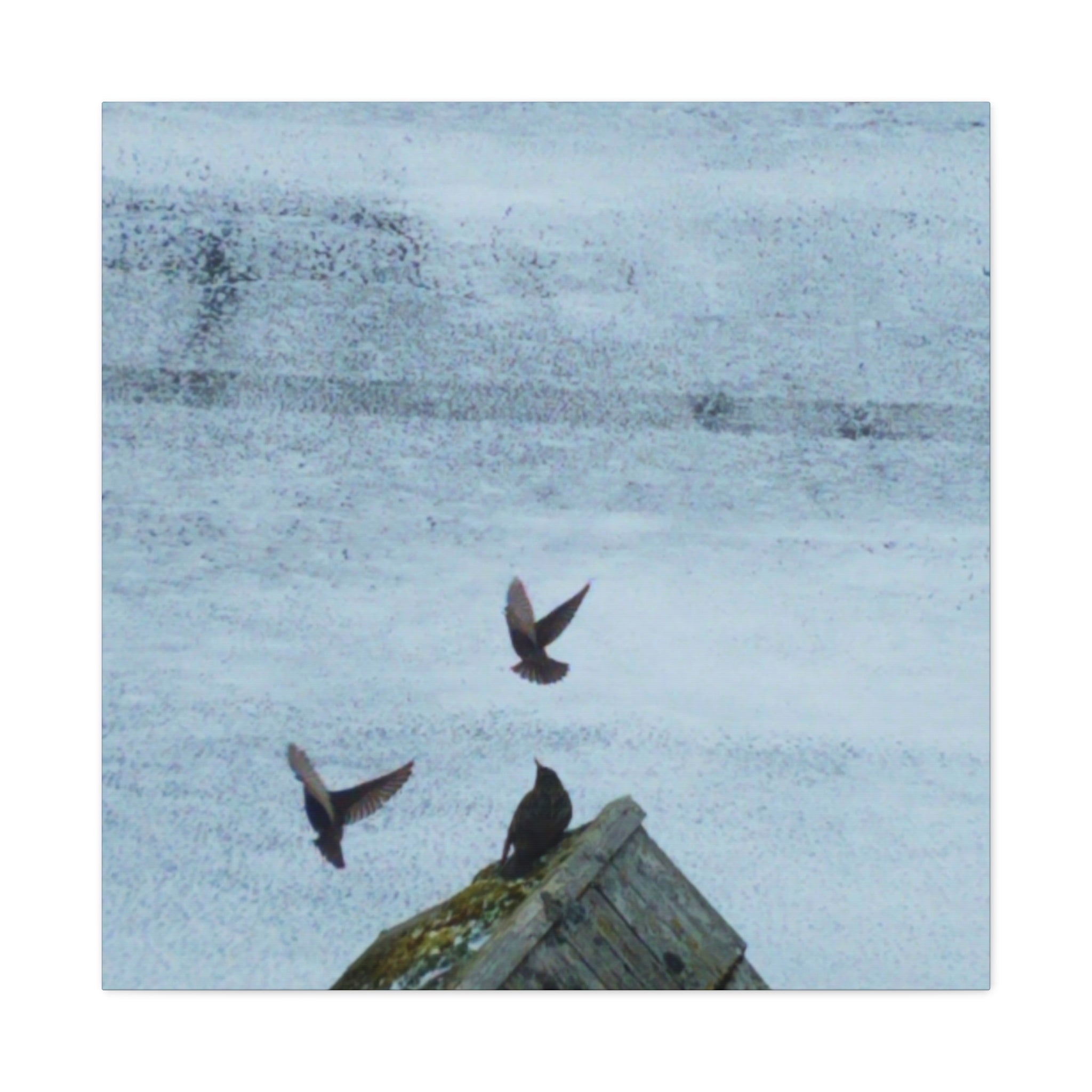 'Wave Goodbye Too' Matte Canvas, Stretched, 1.25" (Print On Sides)