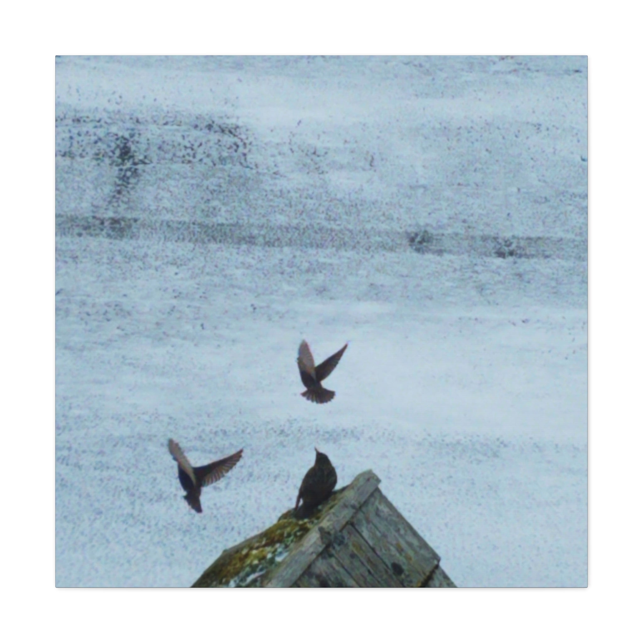 'Wave Goodbye Too' Matte Canvas, Stretched, 1.25" (Print On Sides)