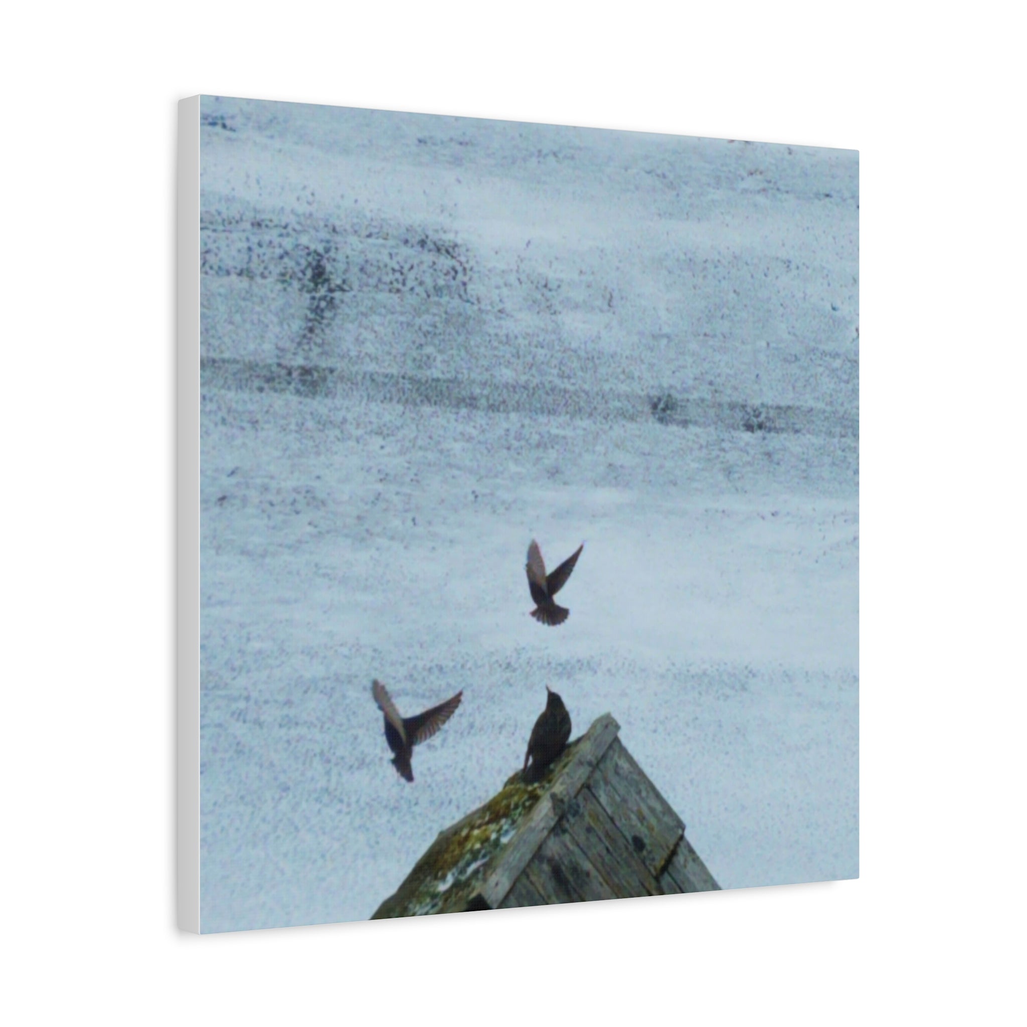 'Wave Goodbye Too' Matte Canvas, Stretched, 1.25"