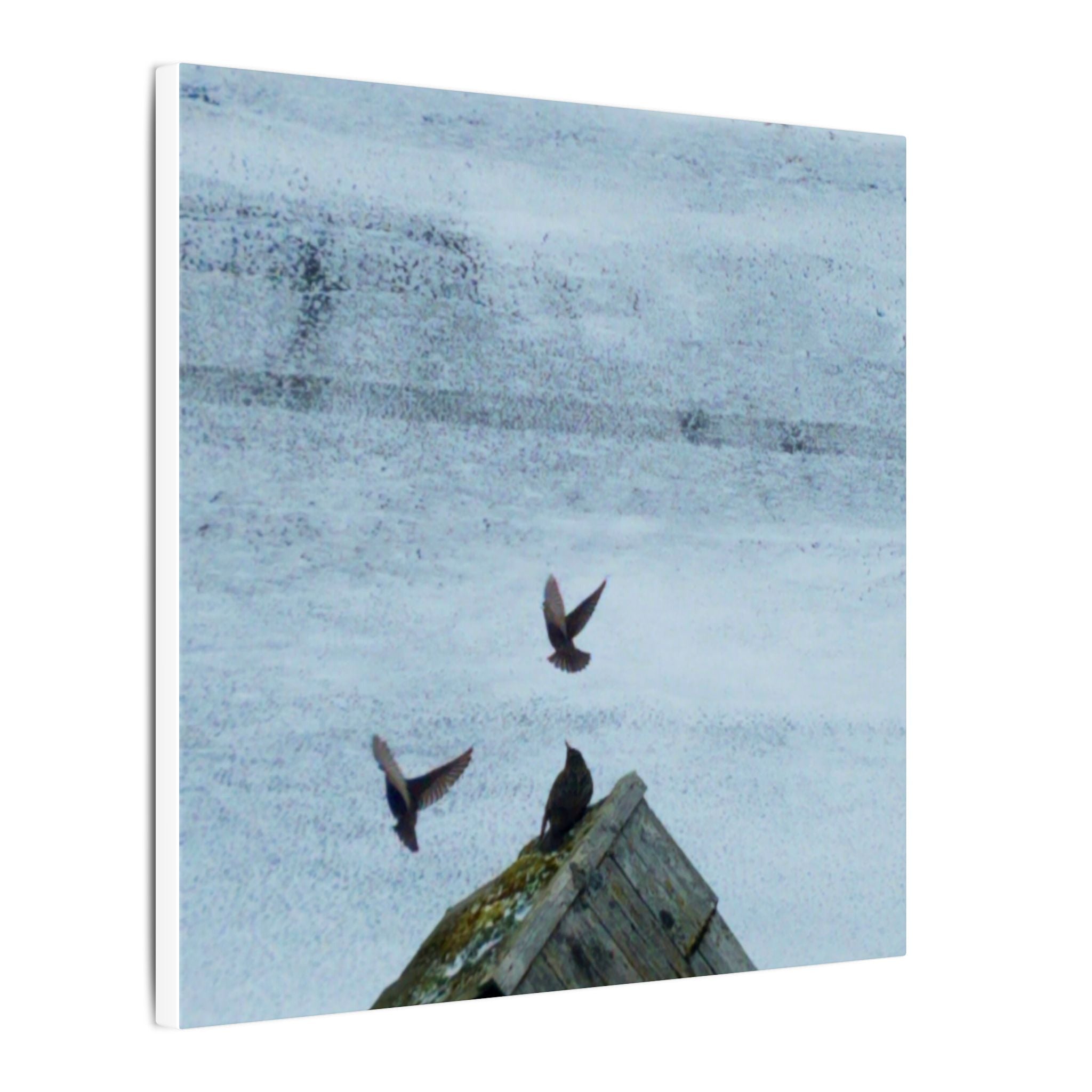 'Wave Goodbye Too' Matte Canvas, Stretched, 0.75"
