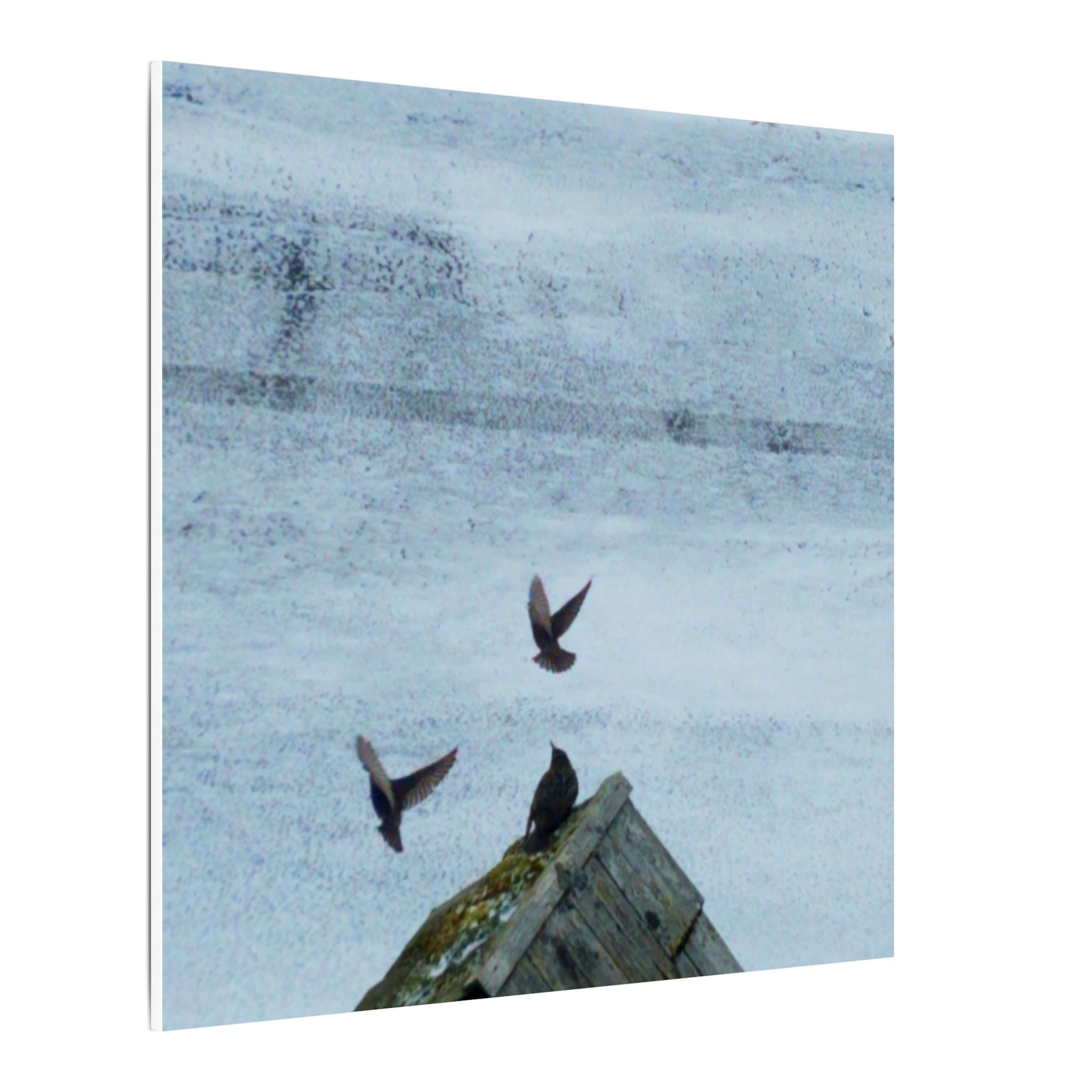 'Wave Goodbye Too' Matte Canvas, Stretched, 0.75"