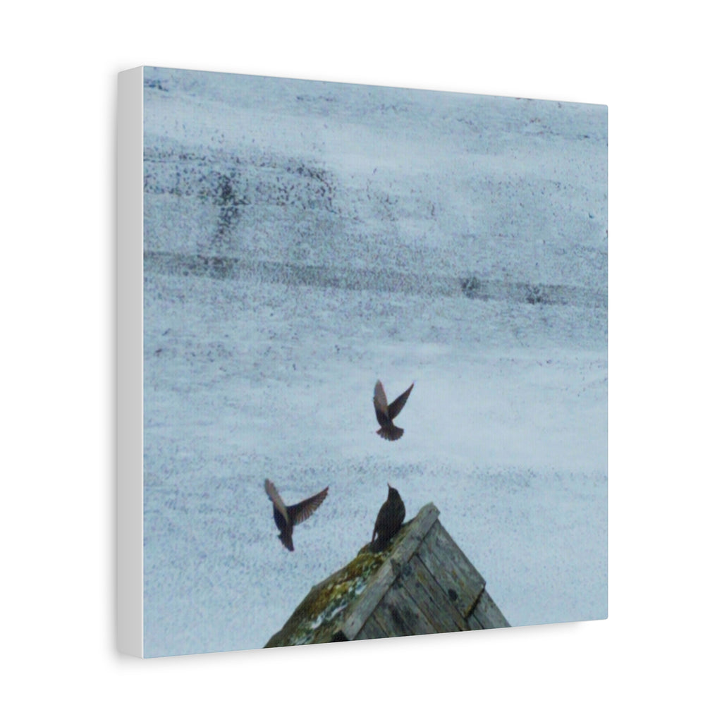 'Wave Goodbye Too' Matte Canvas, Stretched, 1.25"