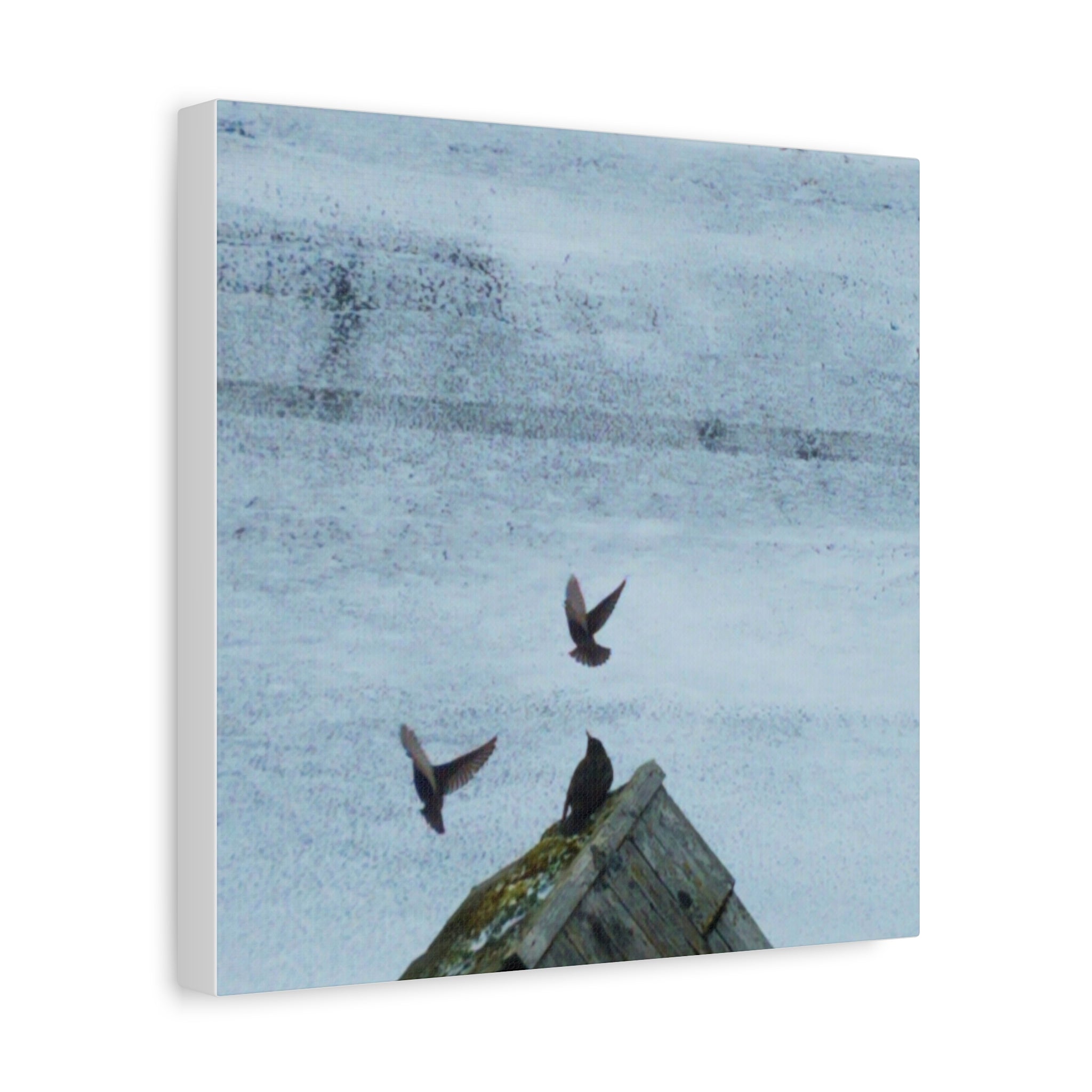 'Wave Goodbye Too' Matte Canvas, Stretched, 1.25"